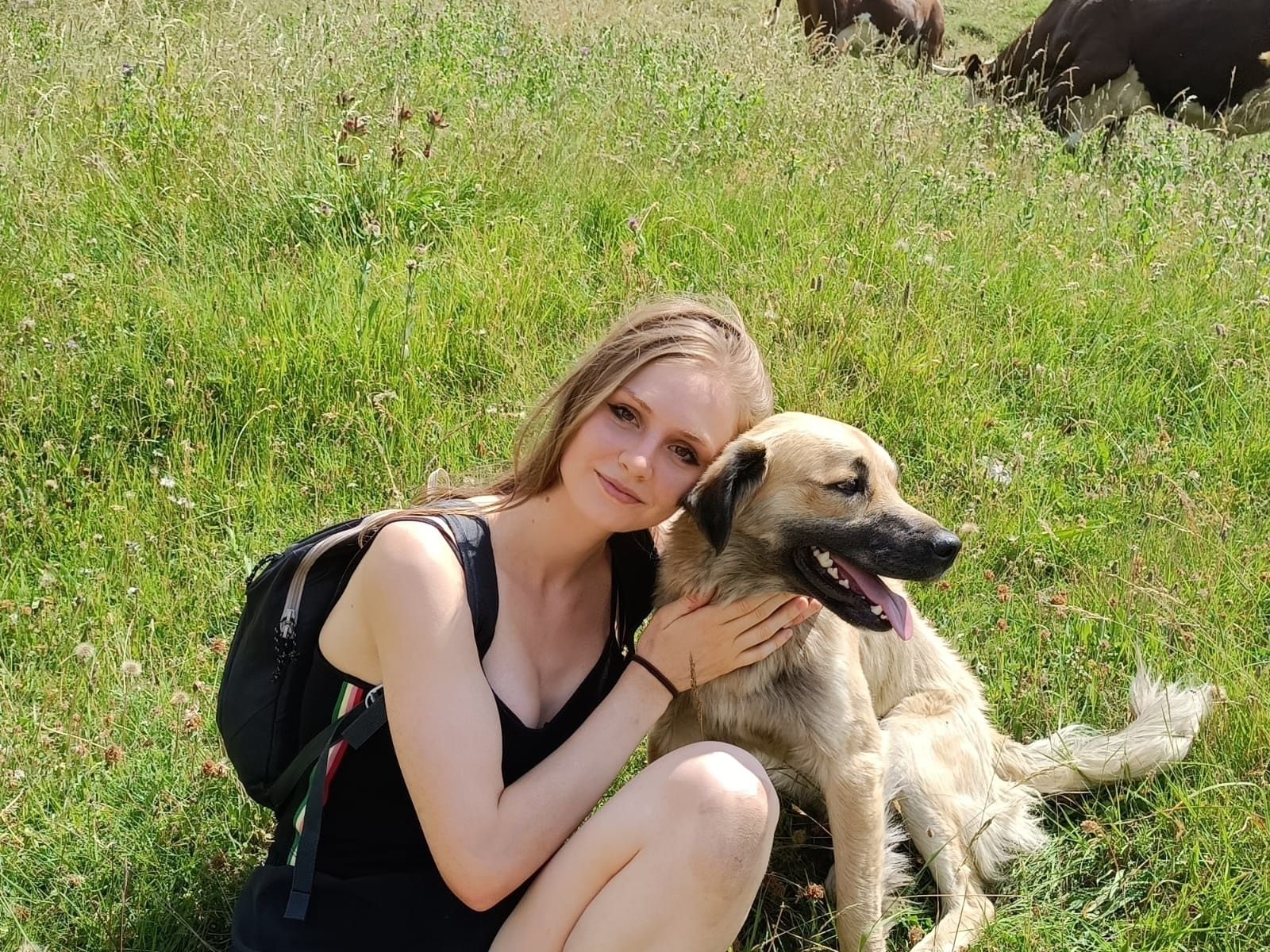 image-6