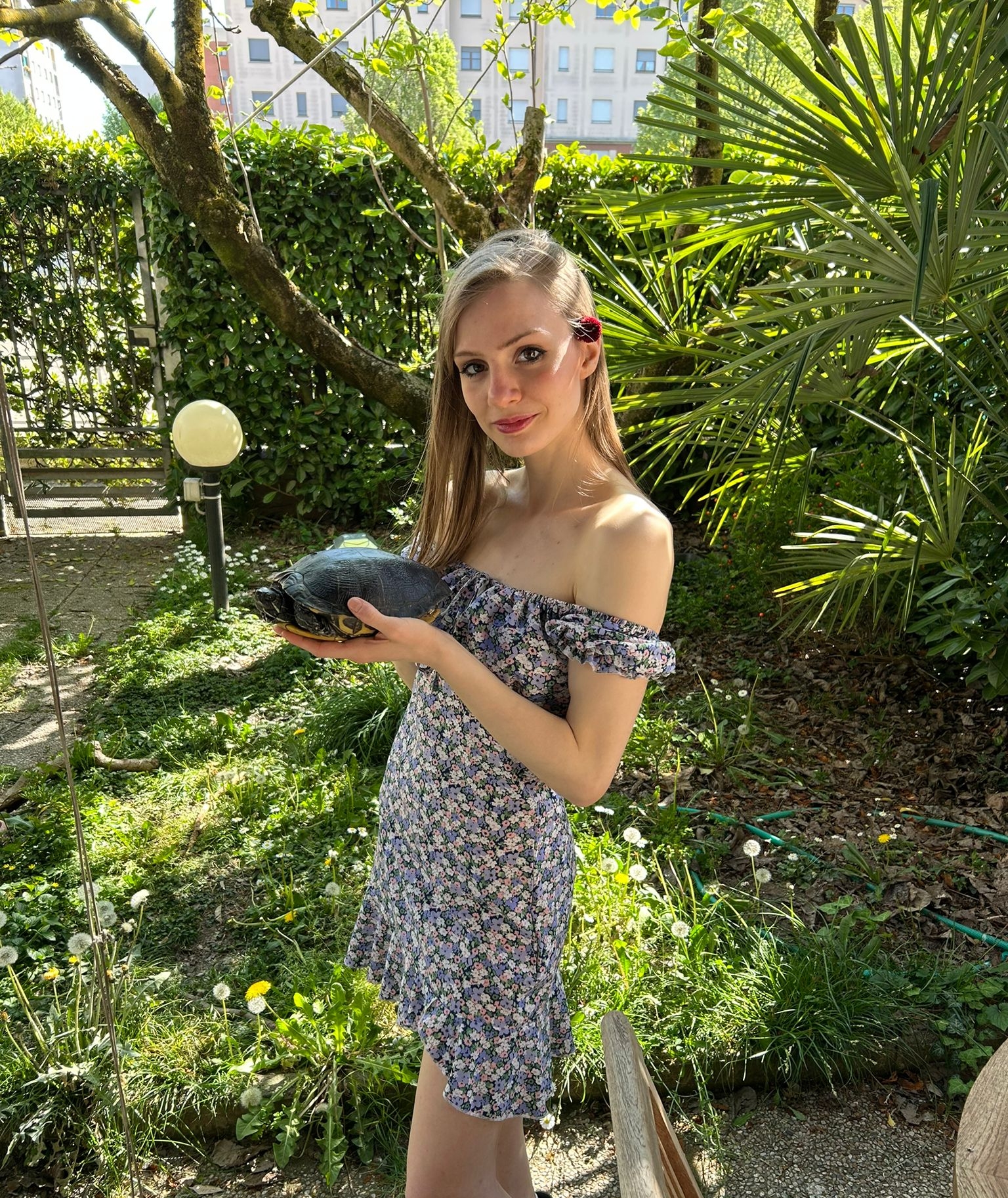 image-7
