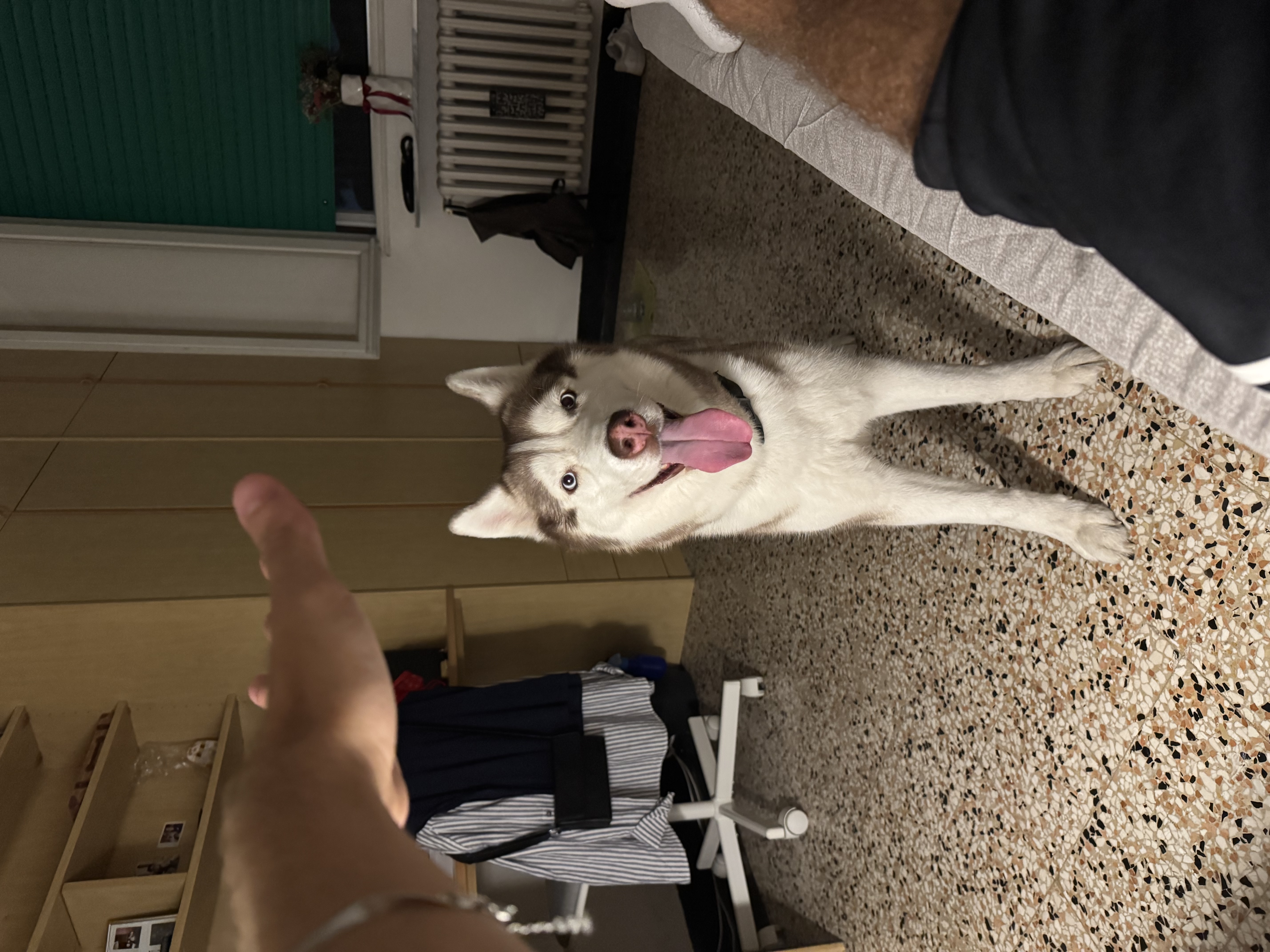 image-15
