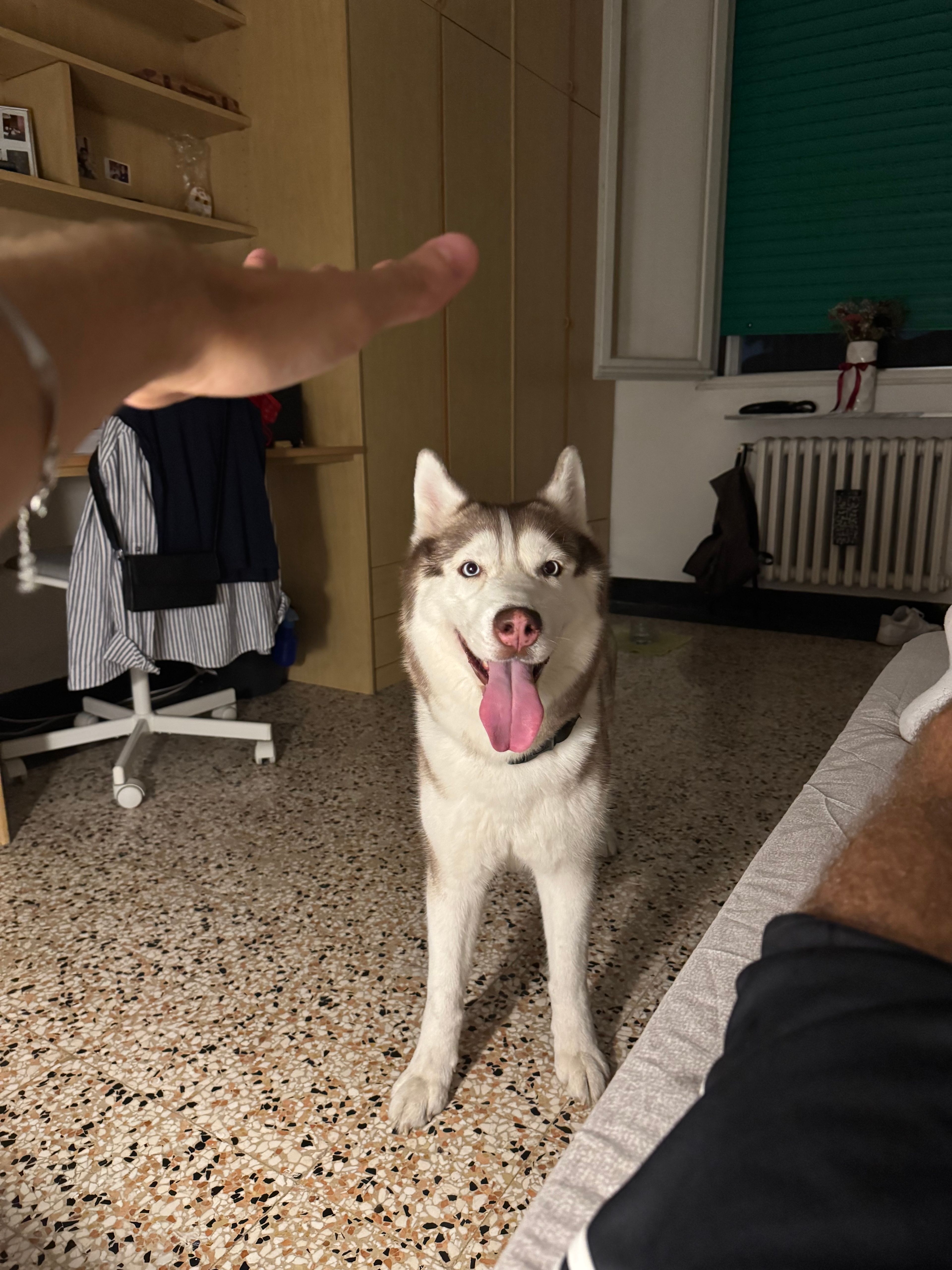 image-15