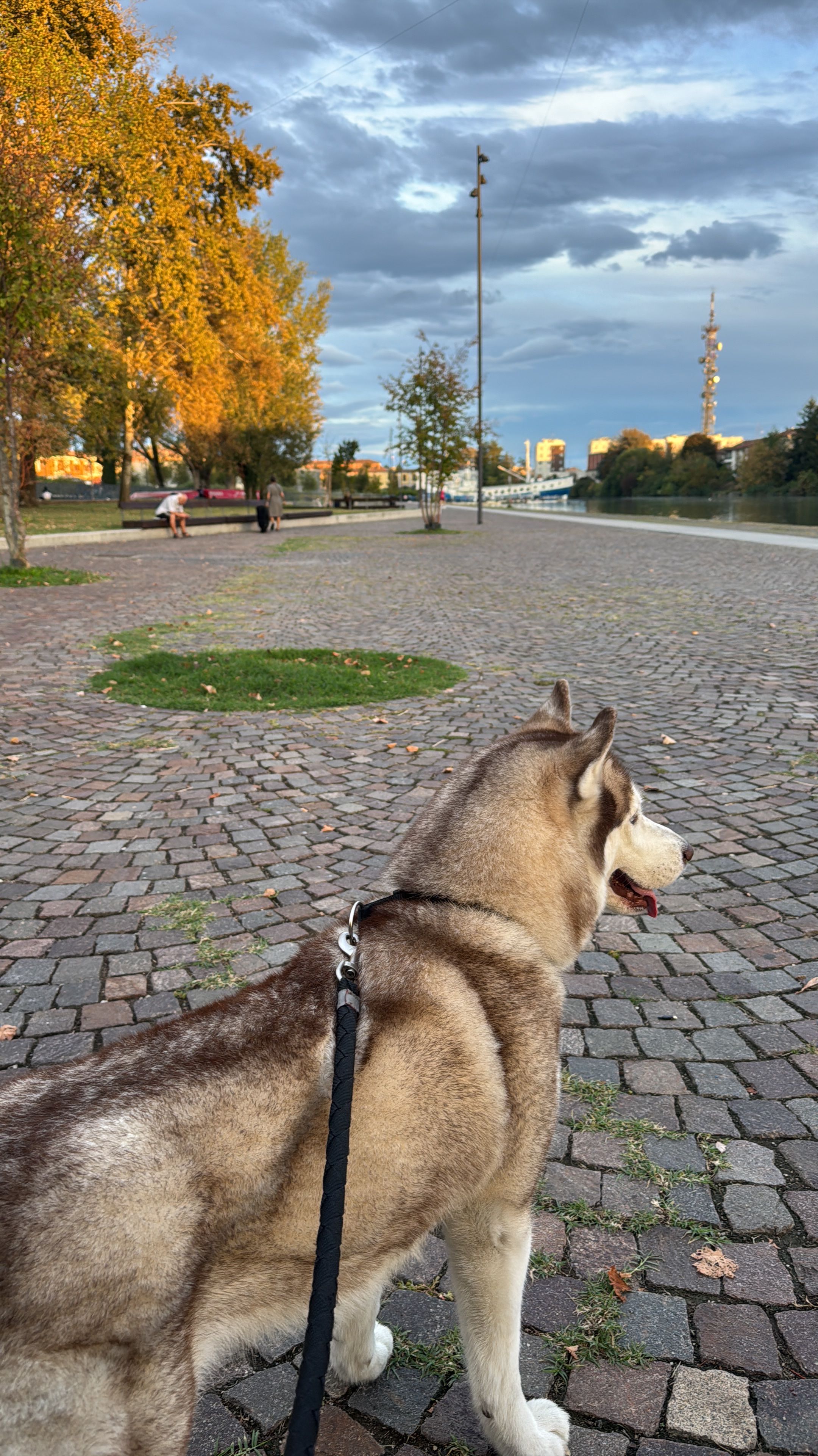 image-8