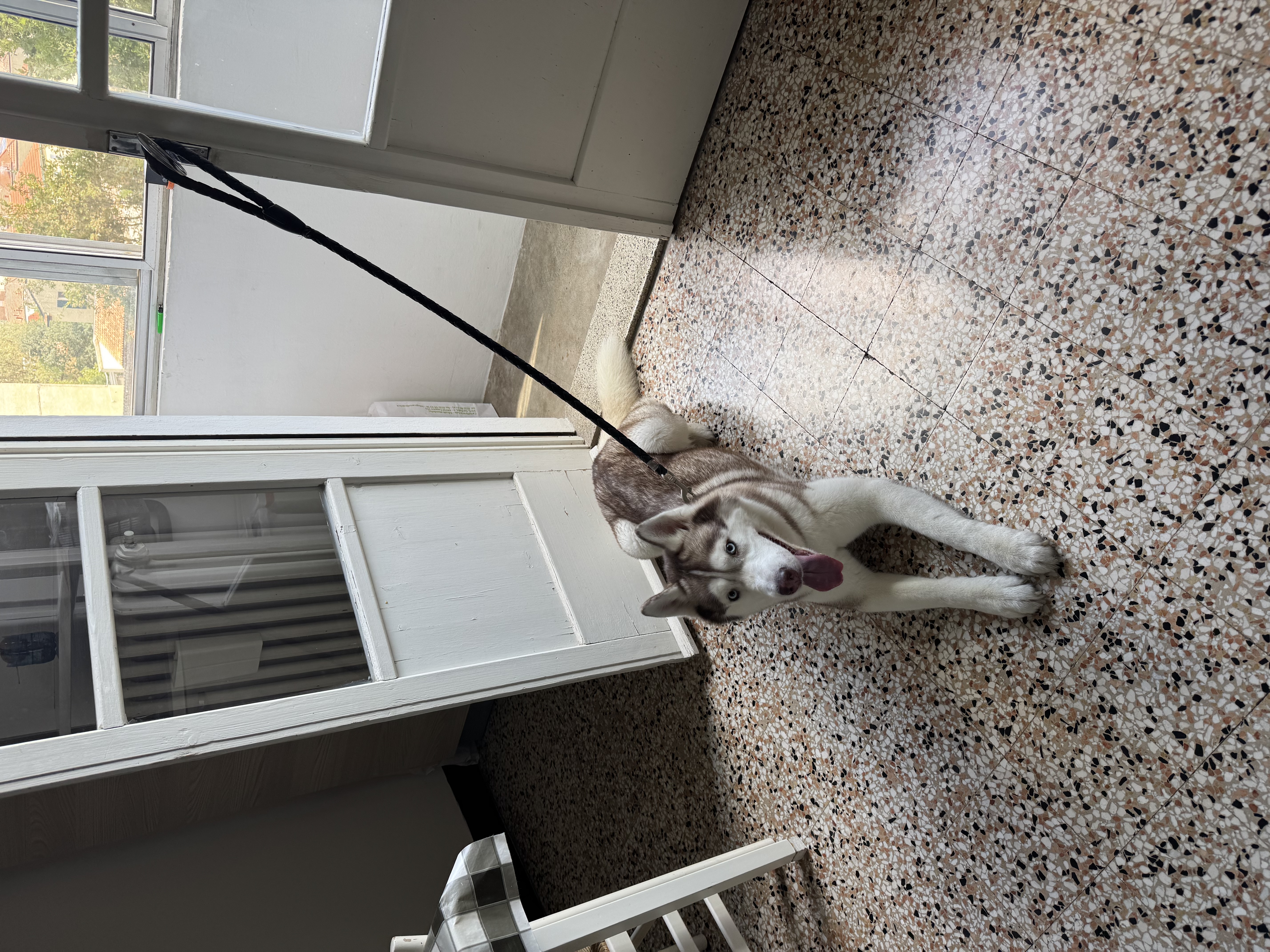 image-16