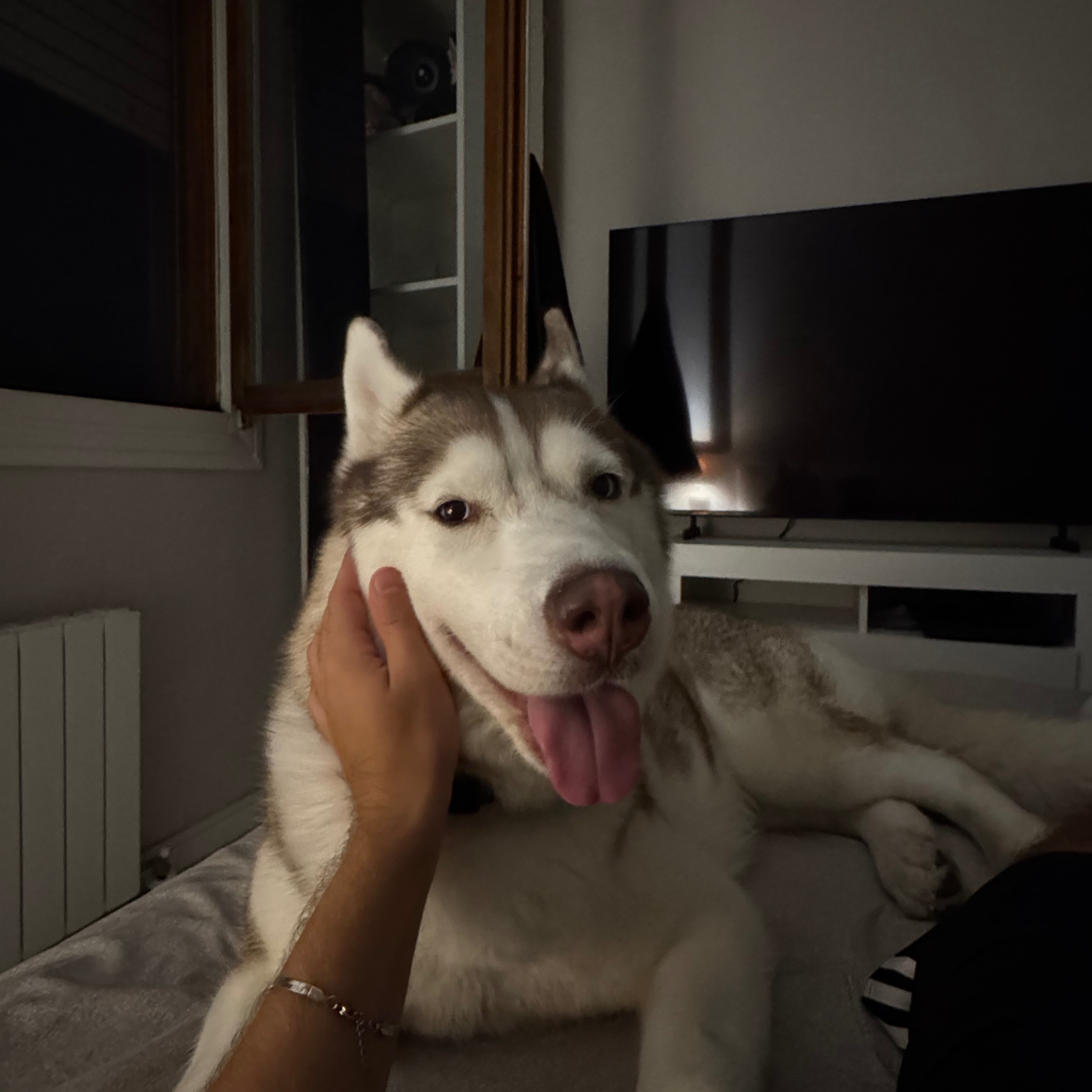 Ambra
