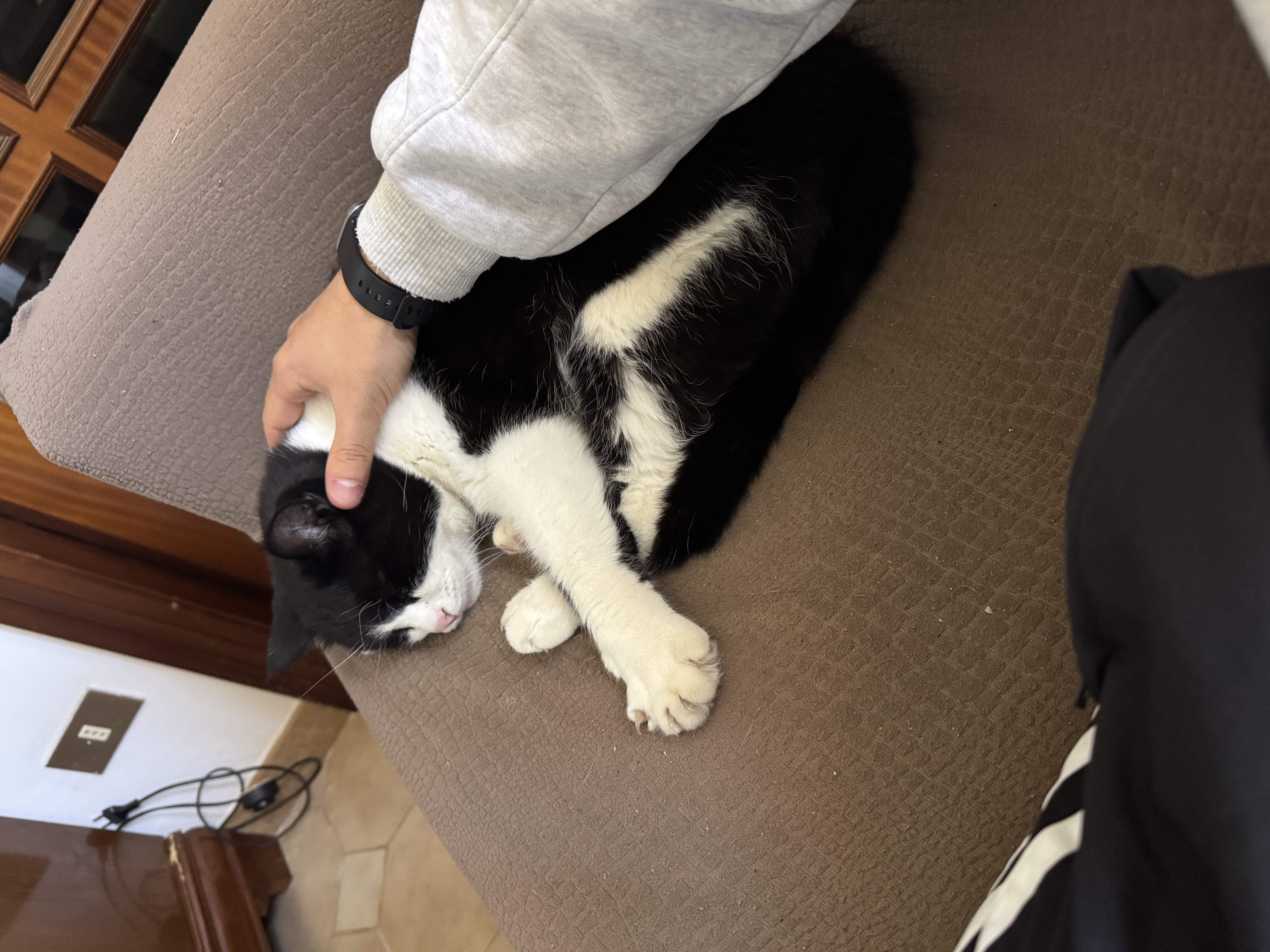 image-9