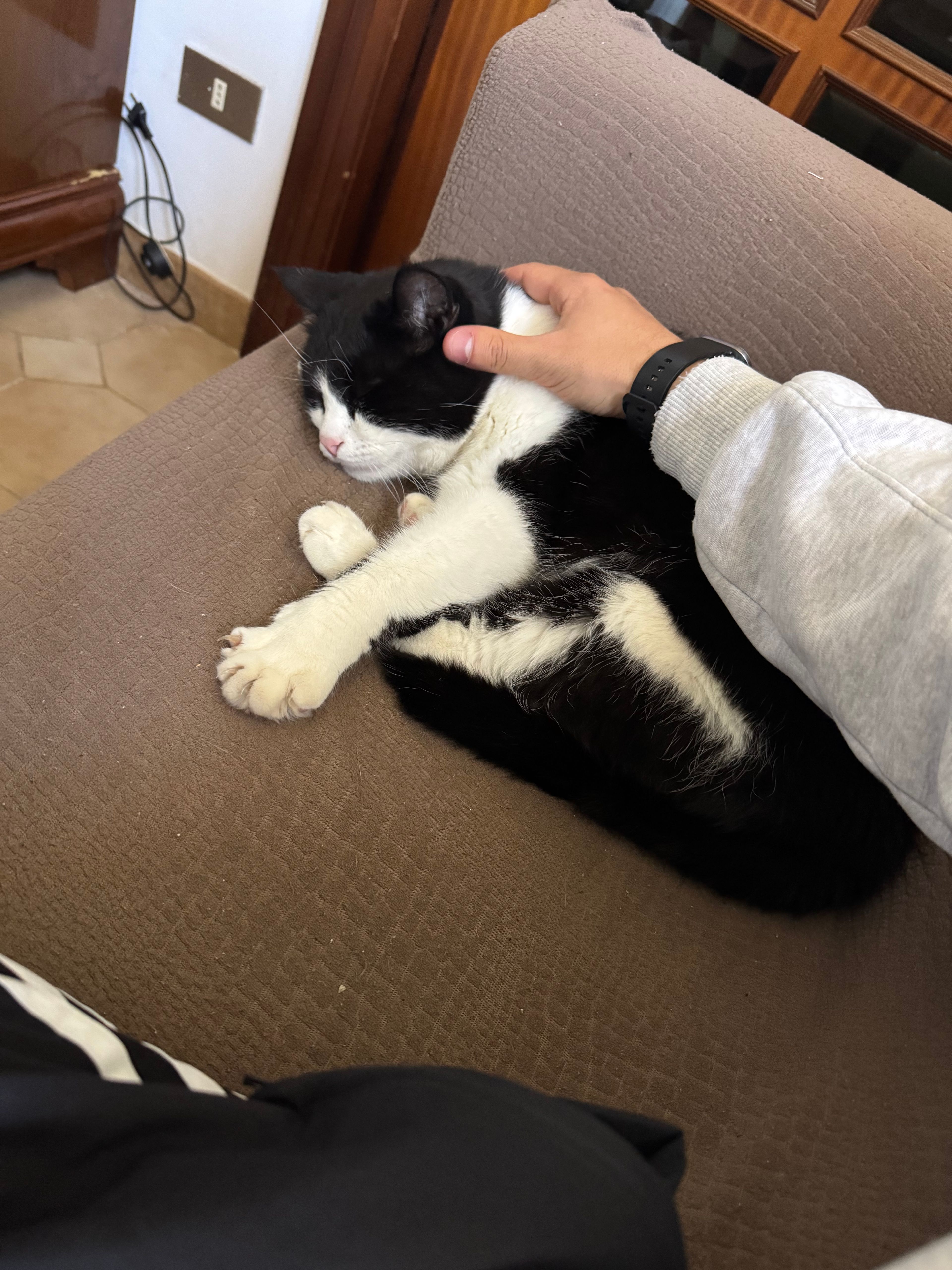 image-9