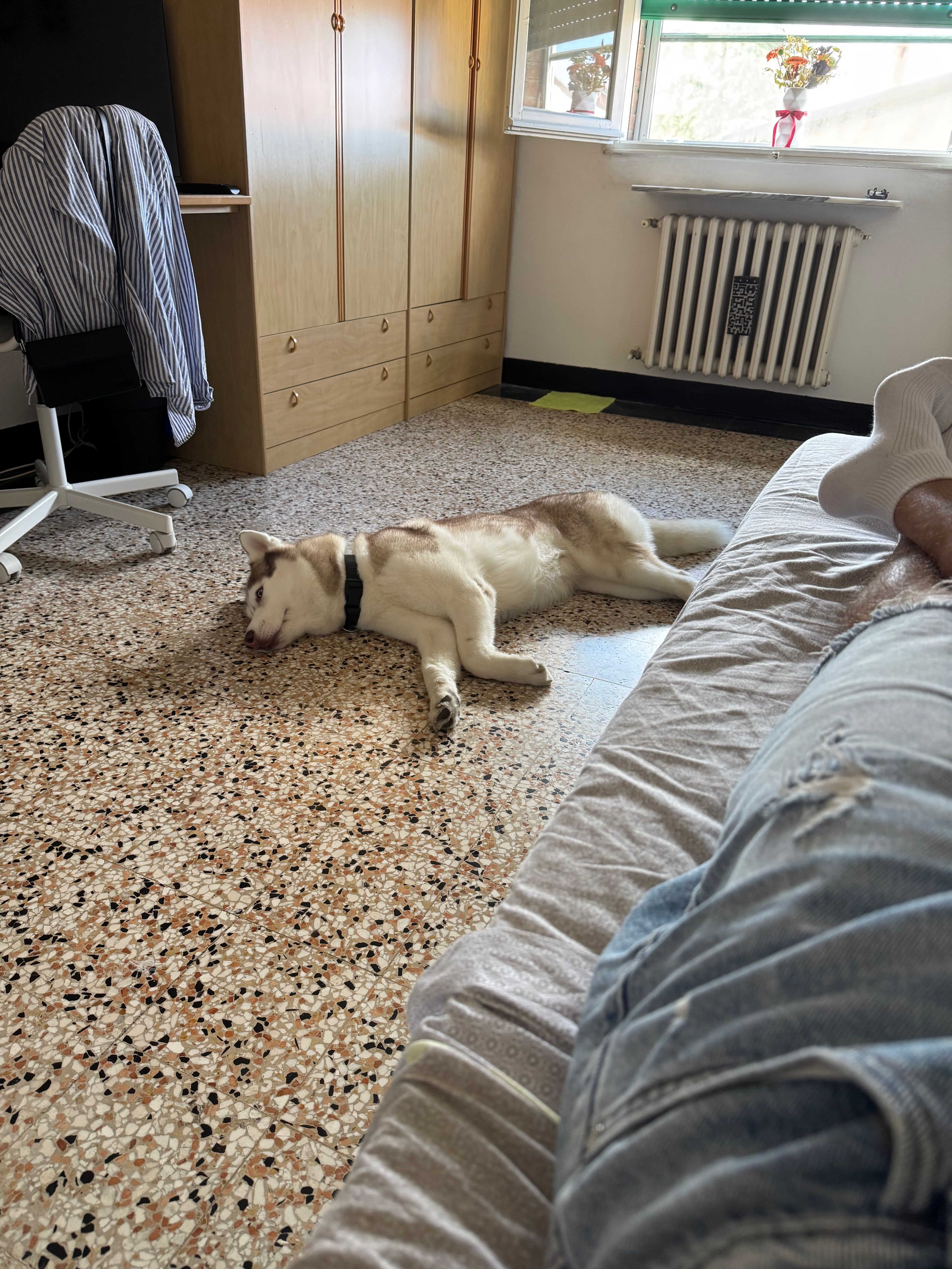 image-17