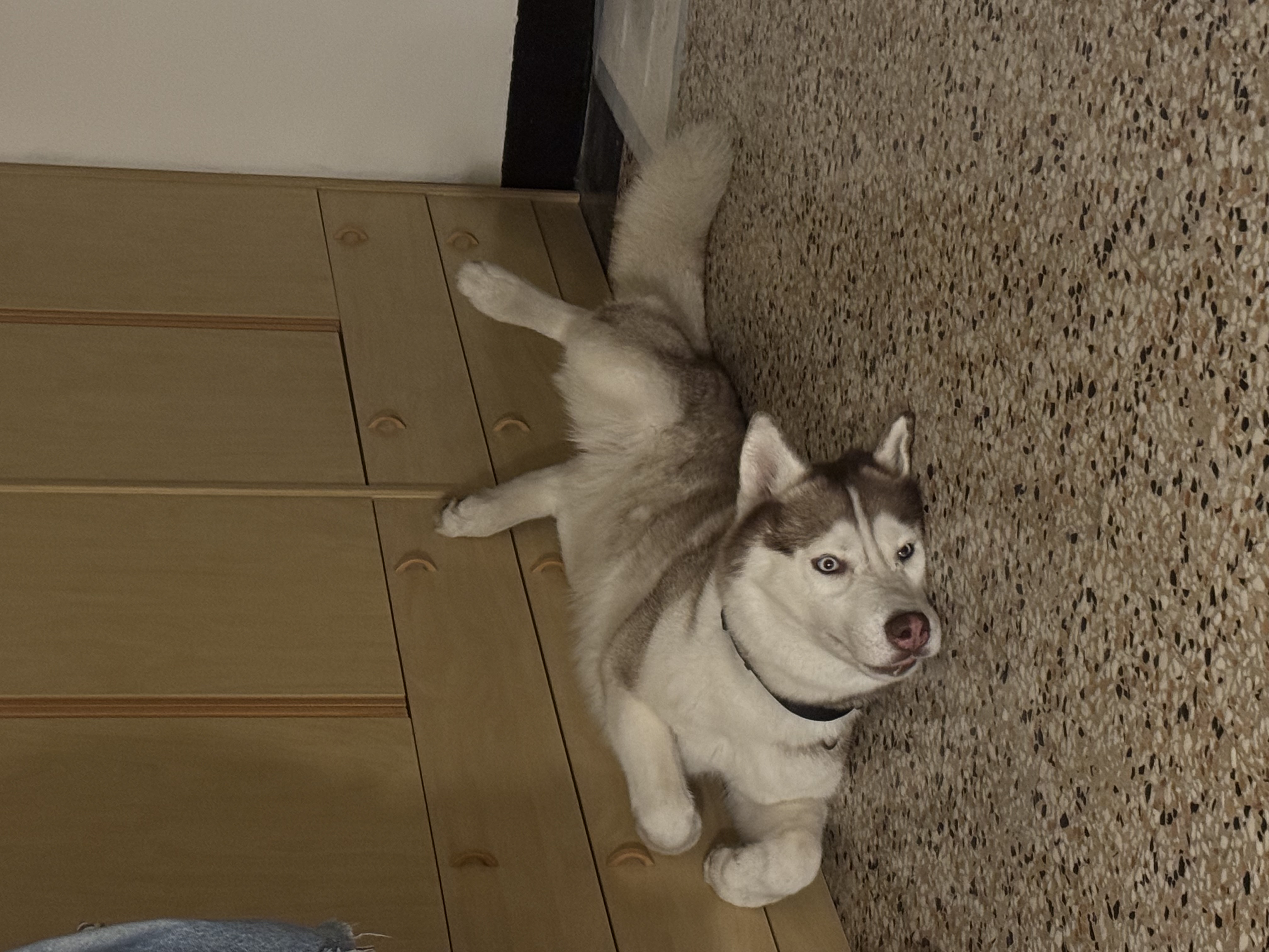 image-11