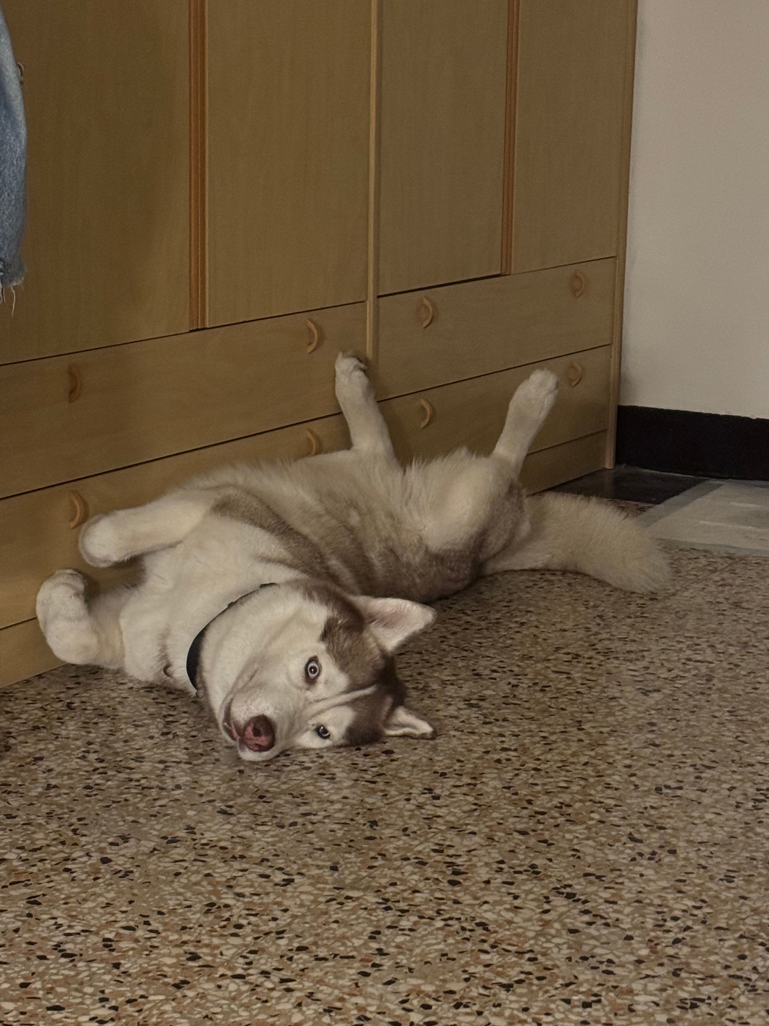 image-11