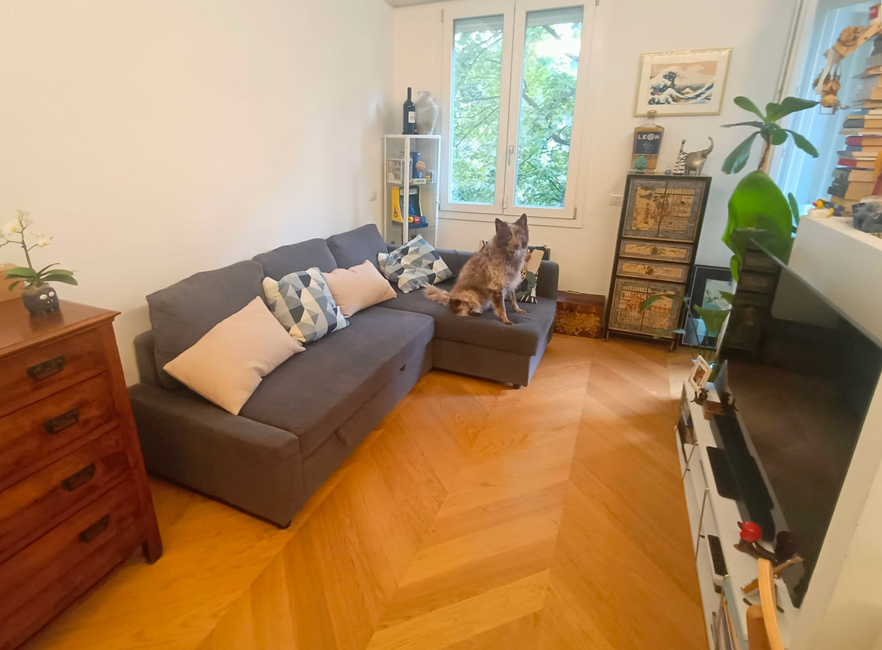image-15