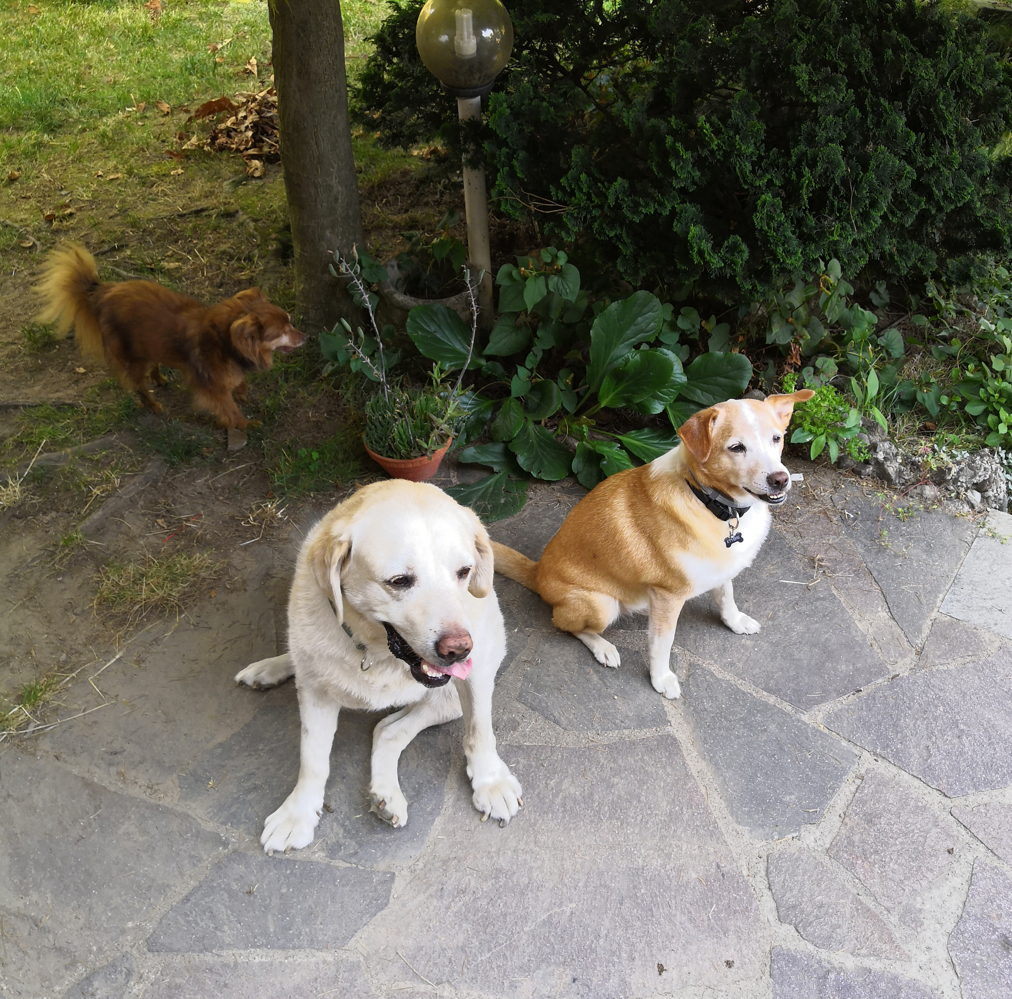 image-12