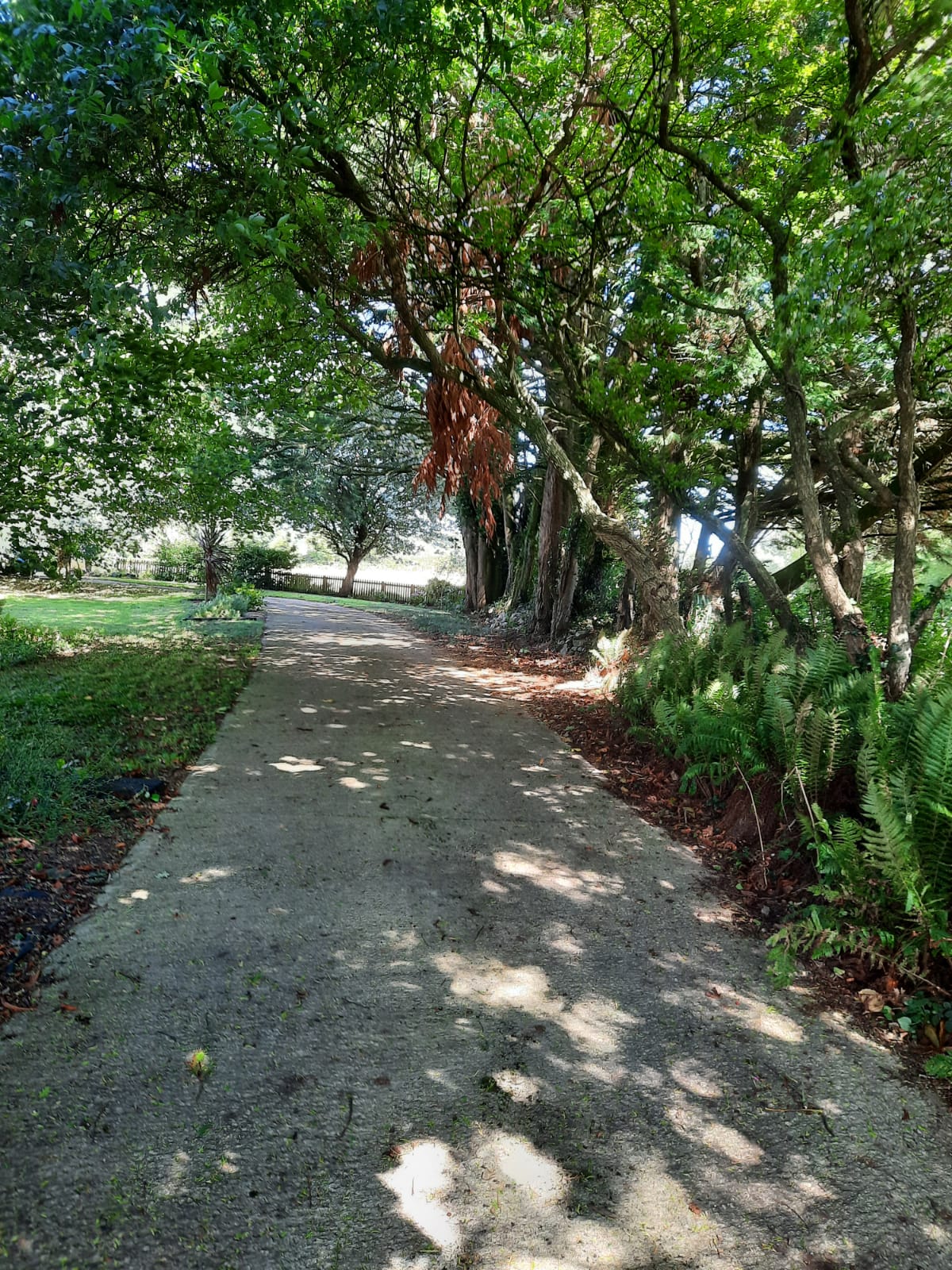 image-10