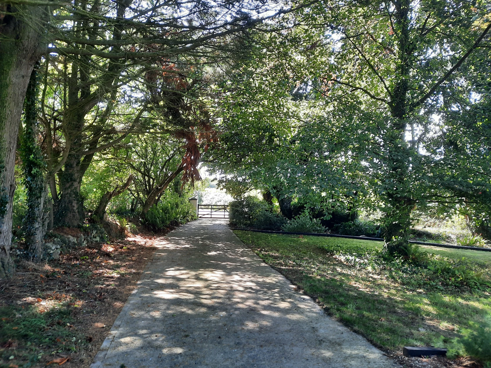 image-7
