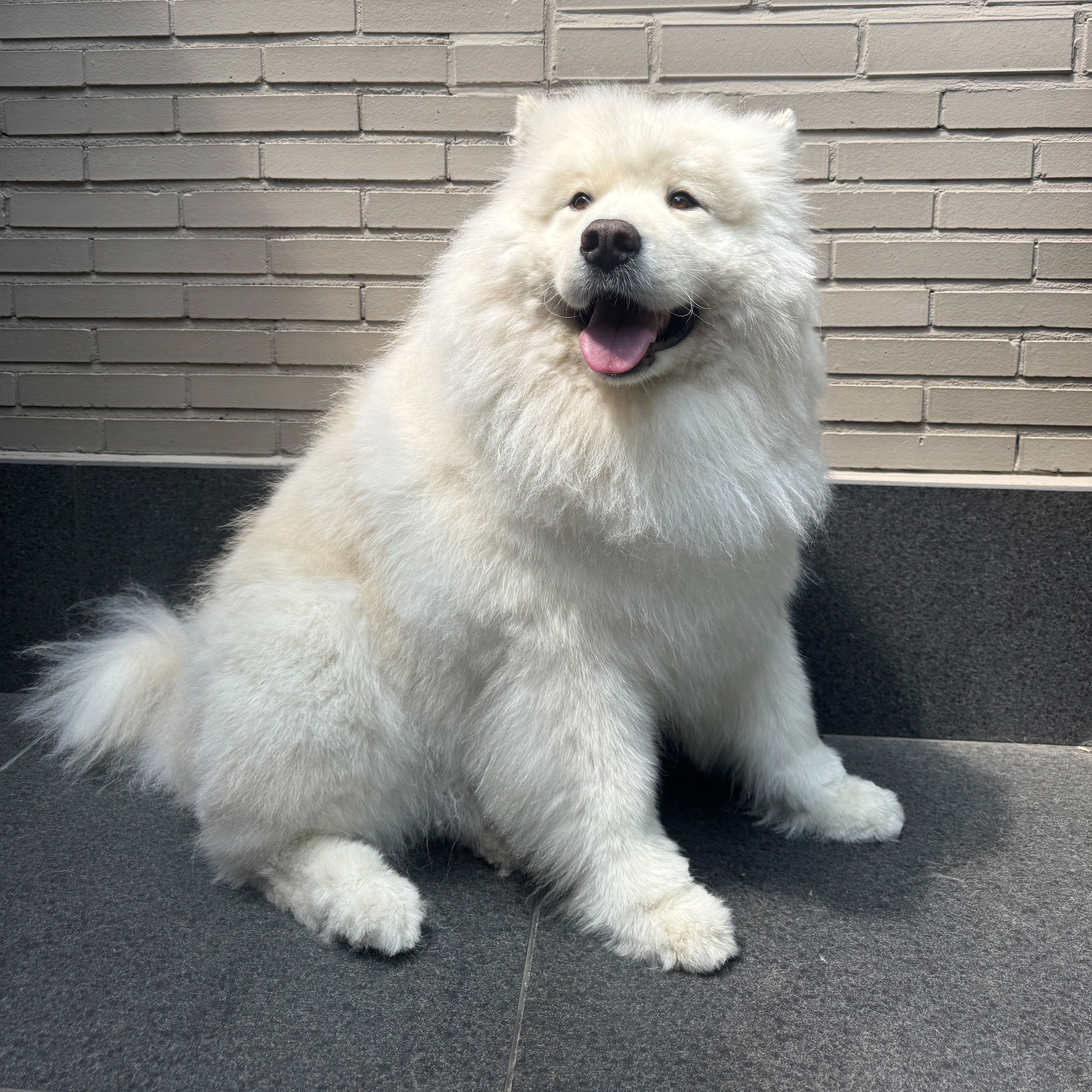 Théo