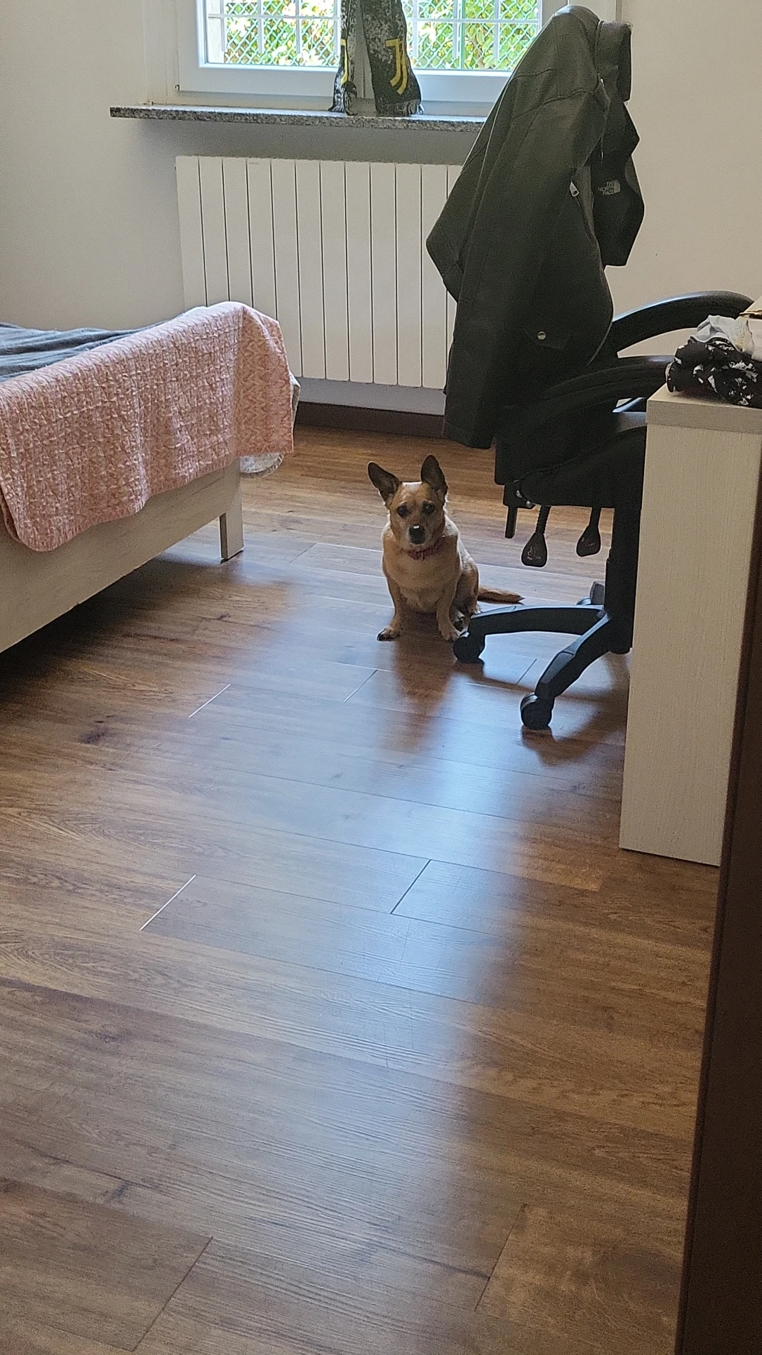 image-9