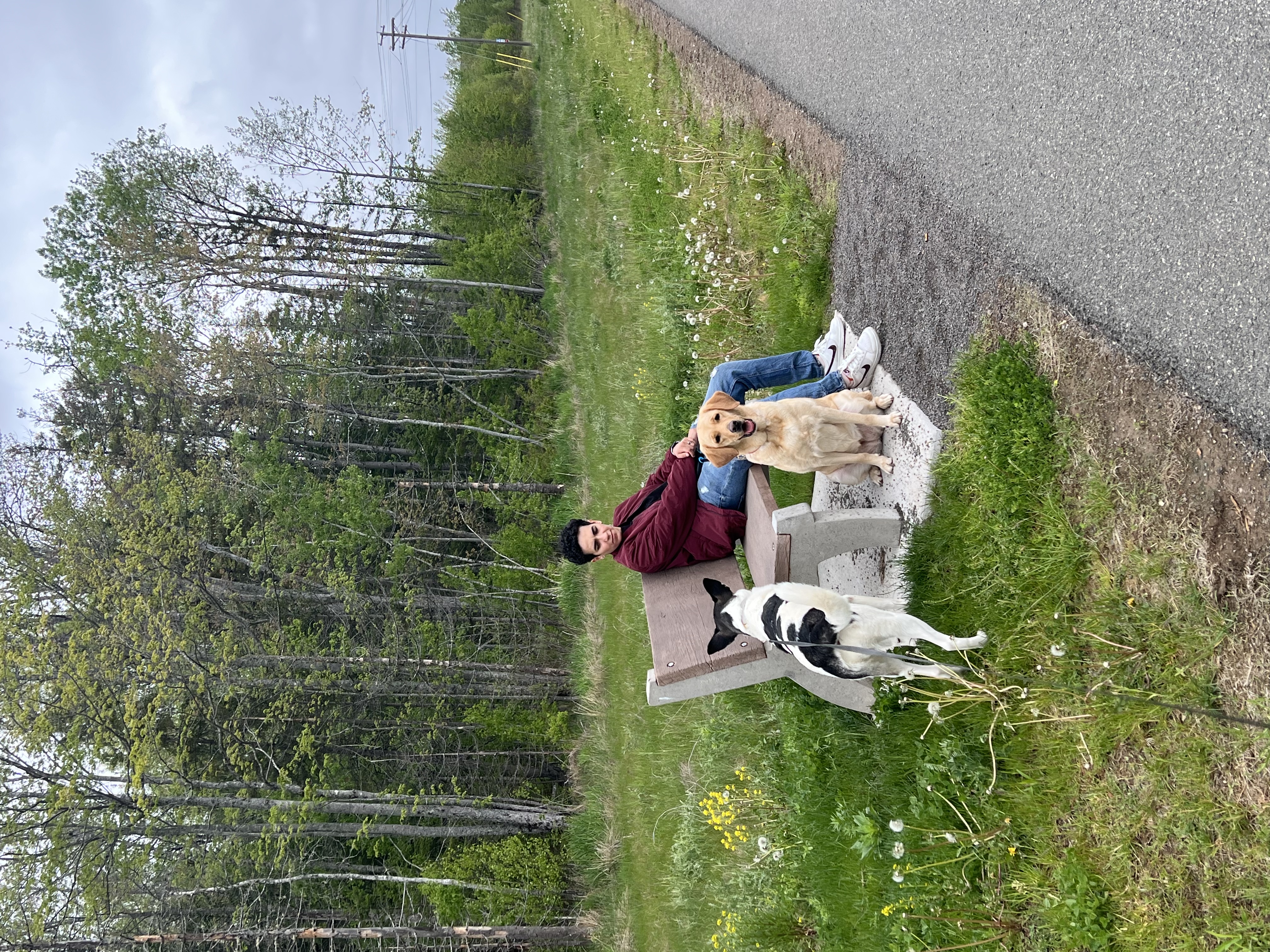 image-0