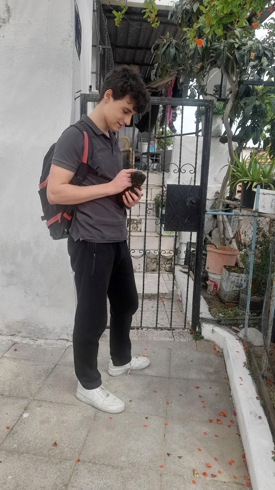 image-5