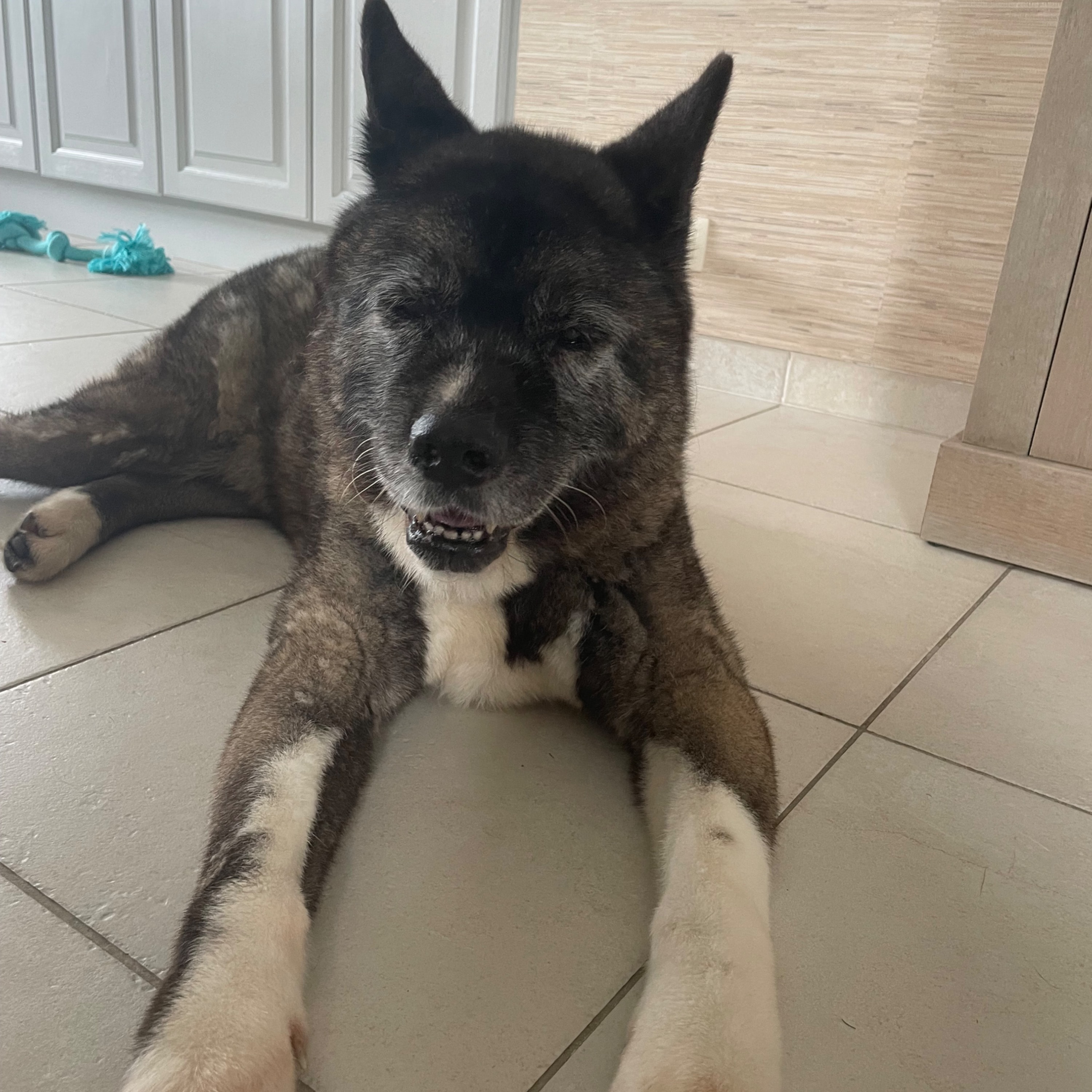 Suki