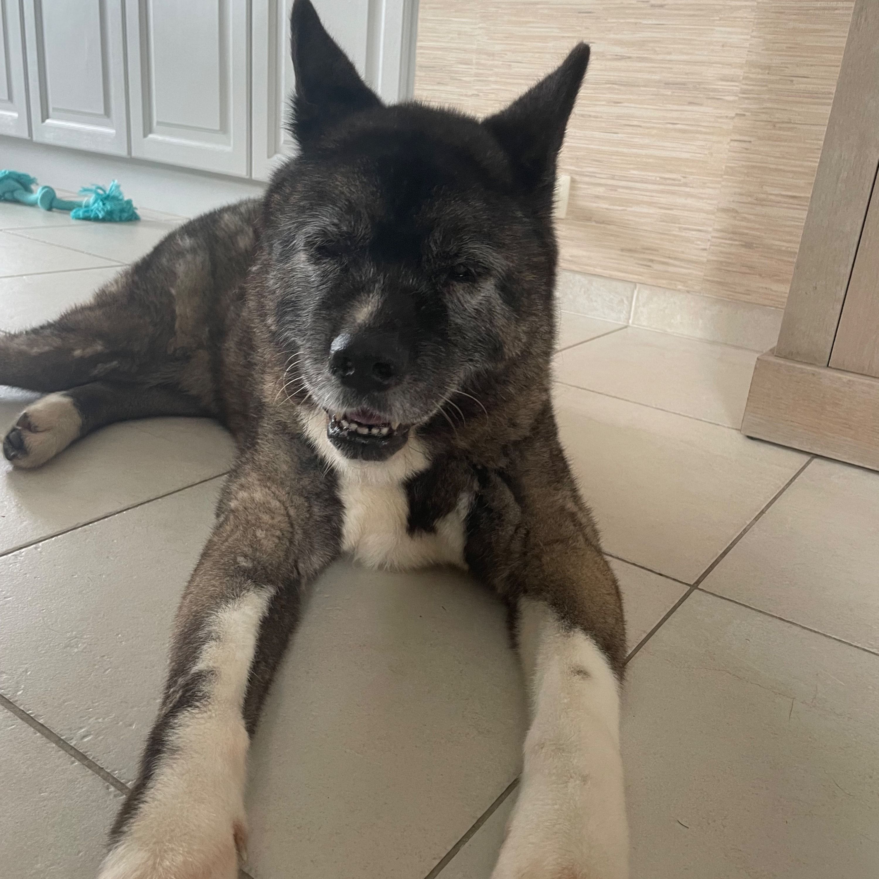 Suki