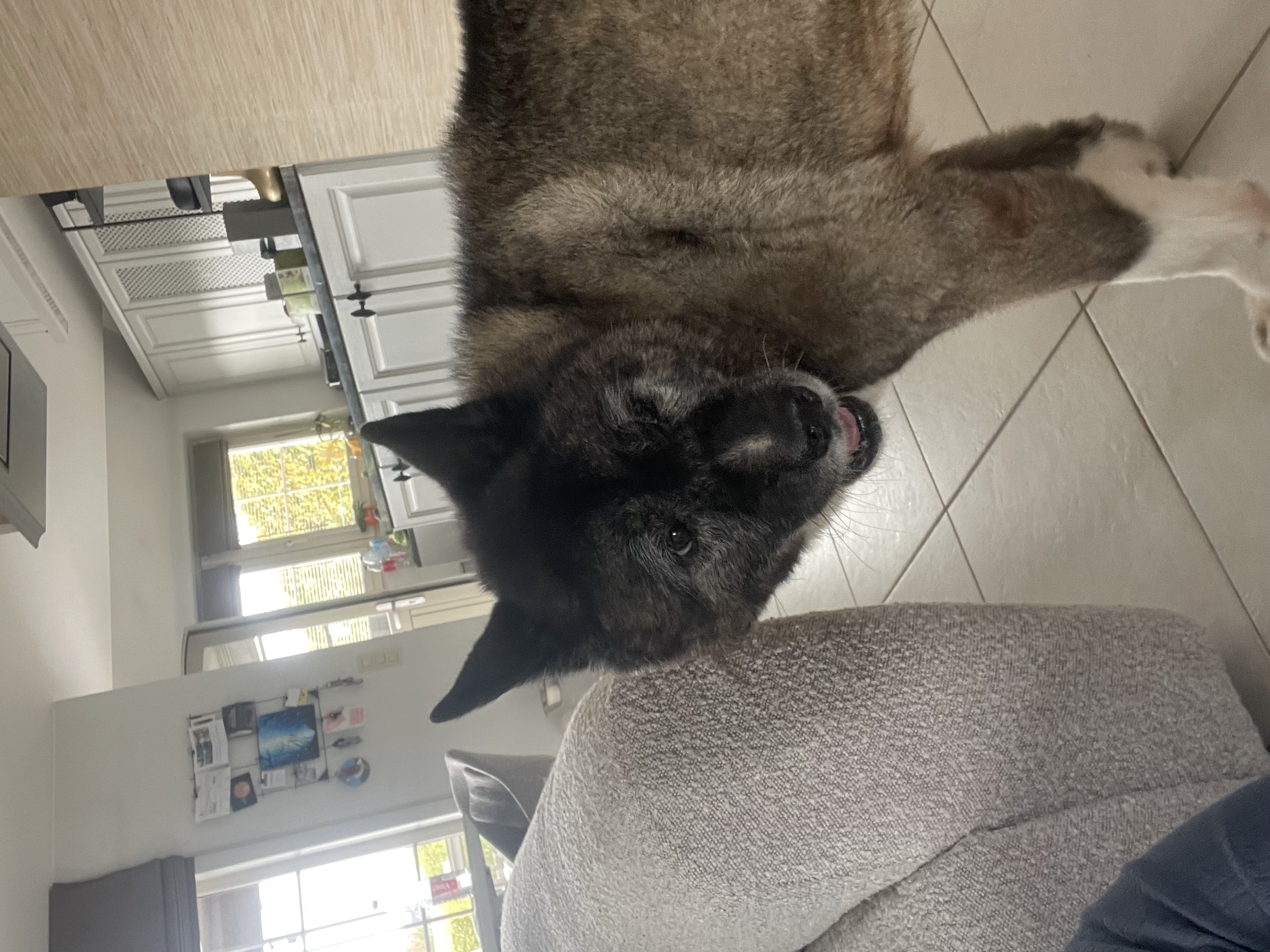 image-6
