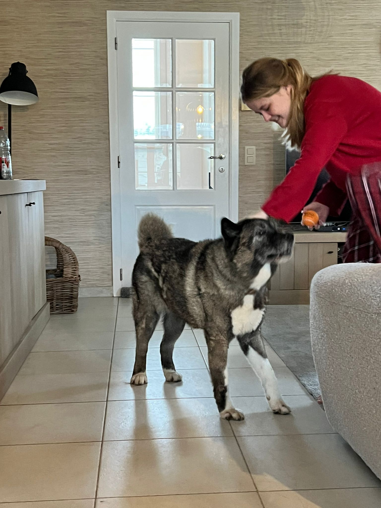 image-3