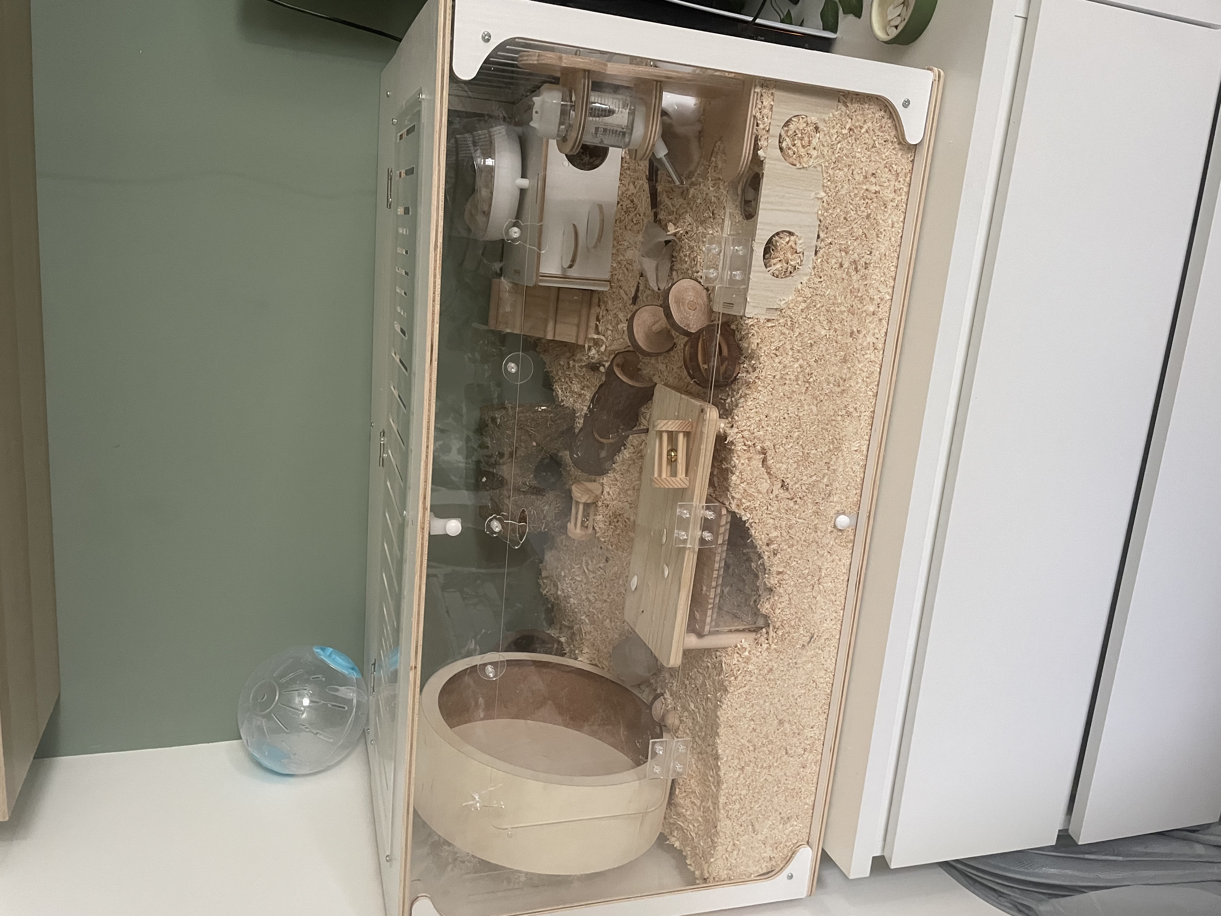 image-4