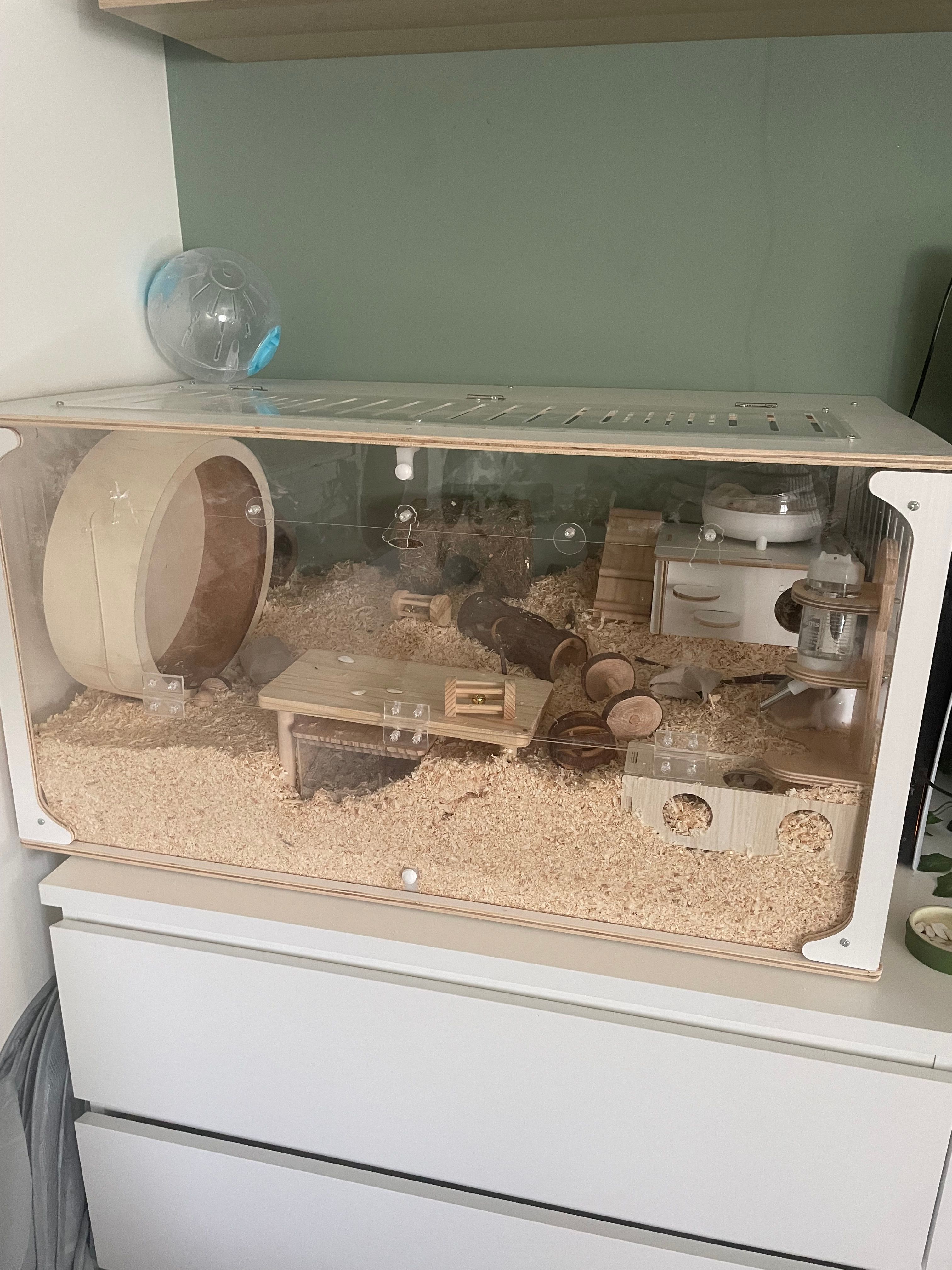 image-4