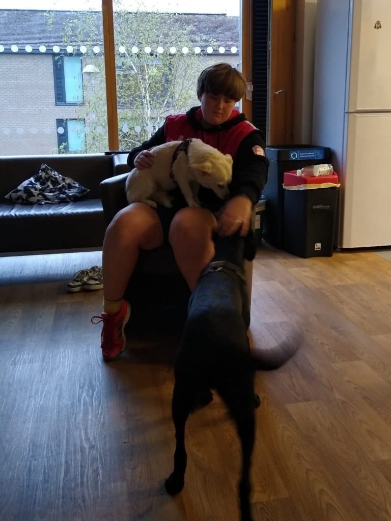 image-3