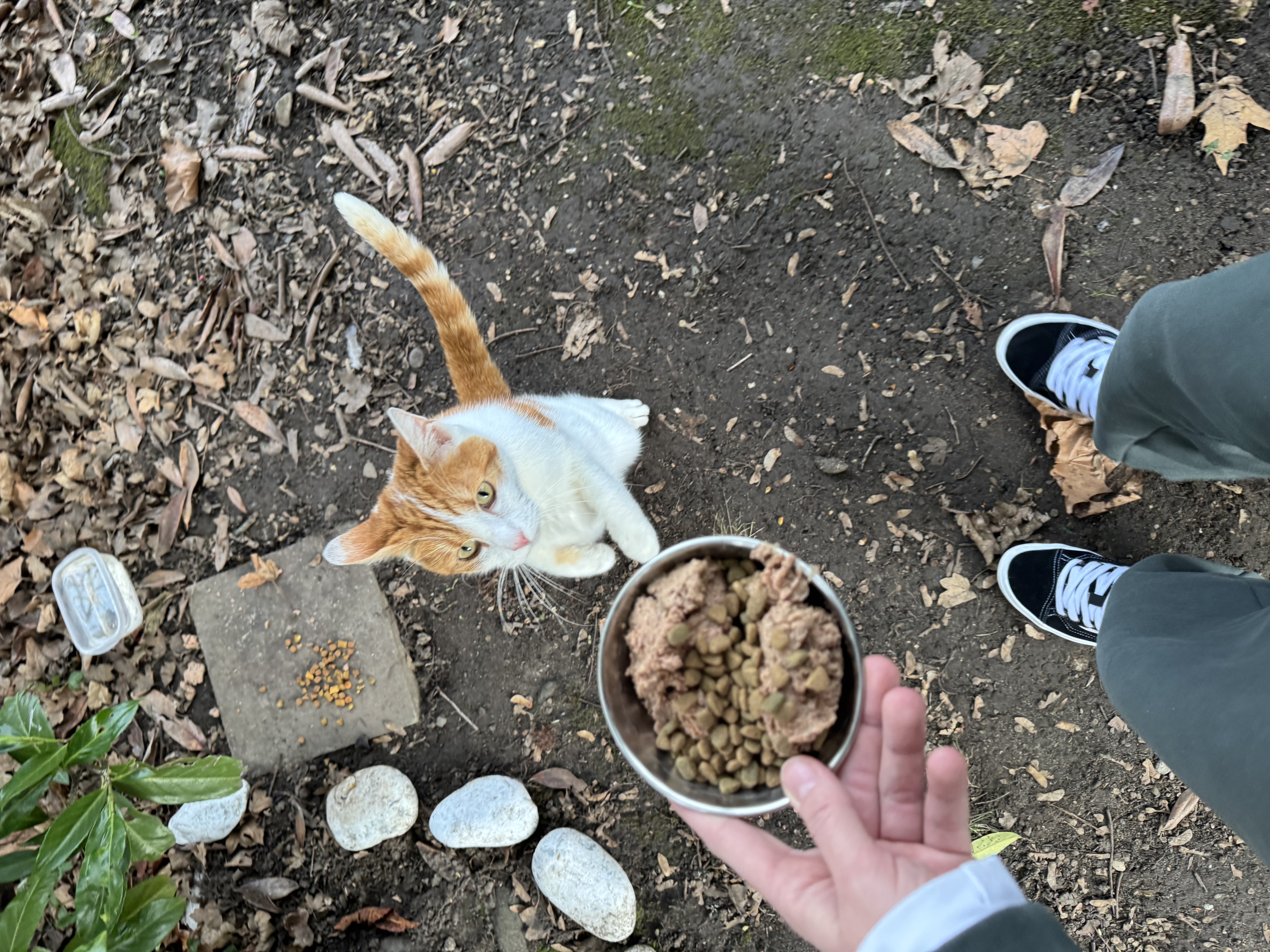 image-7