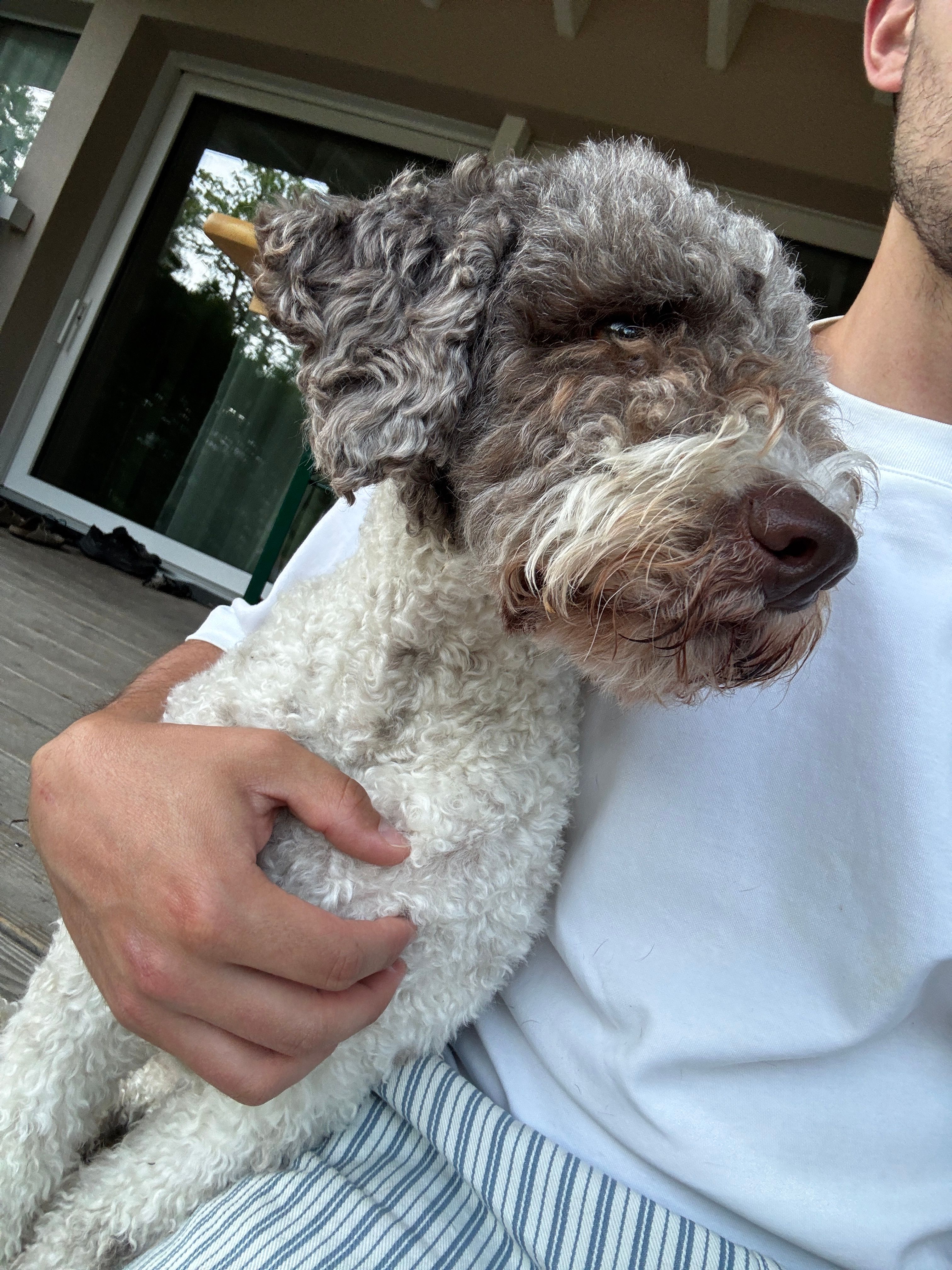 image-11