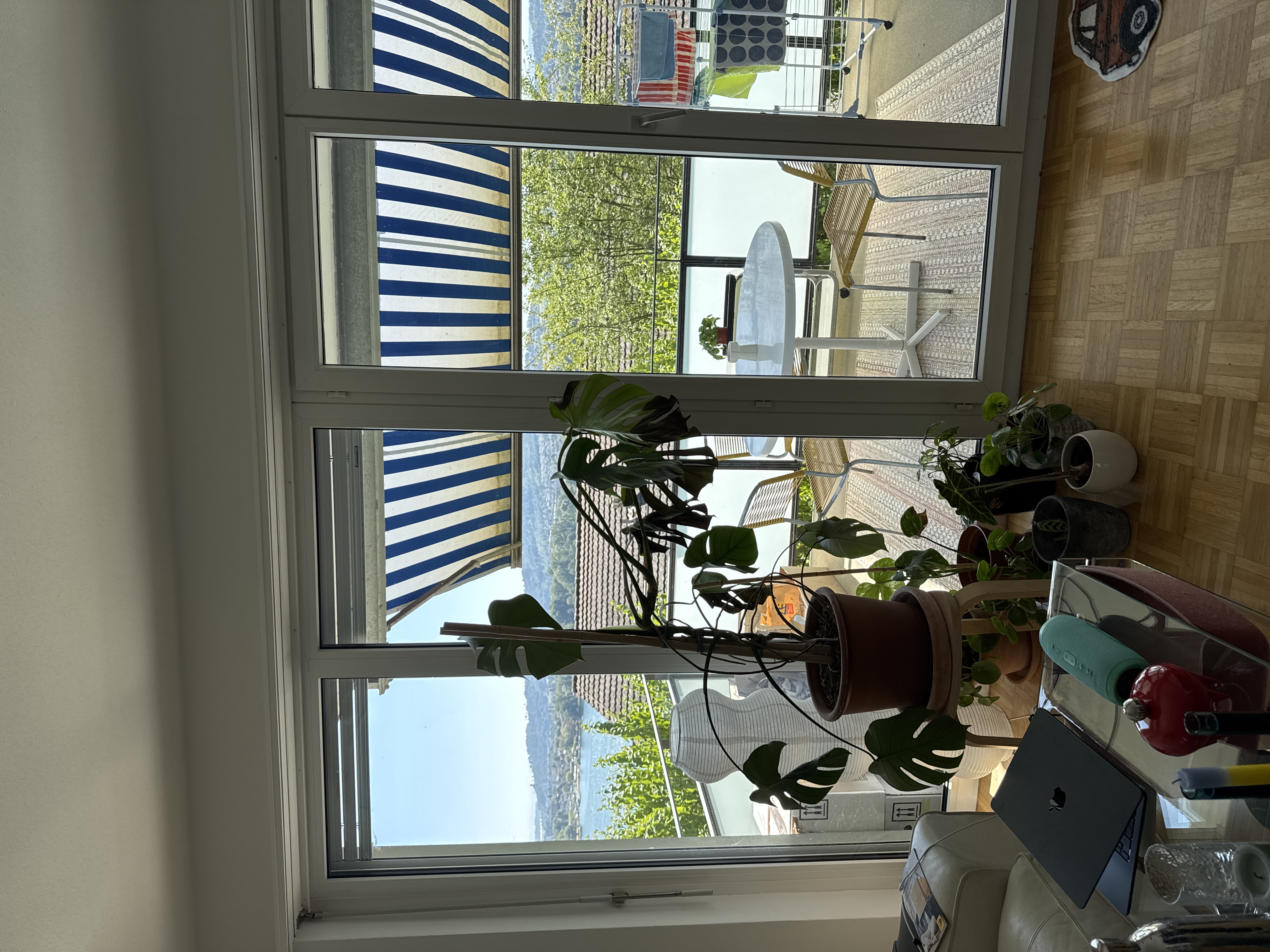 image-14