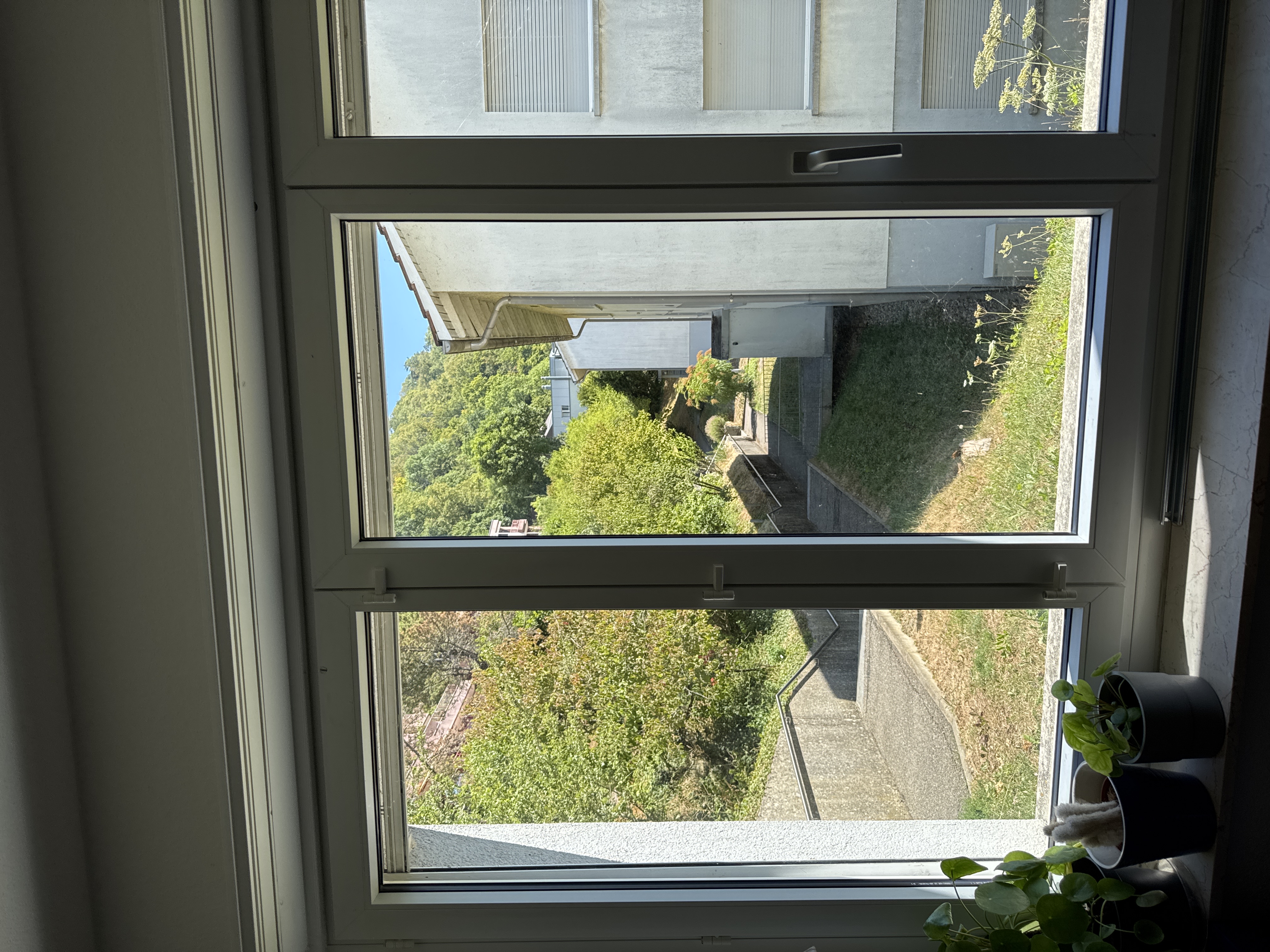 image-17