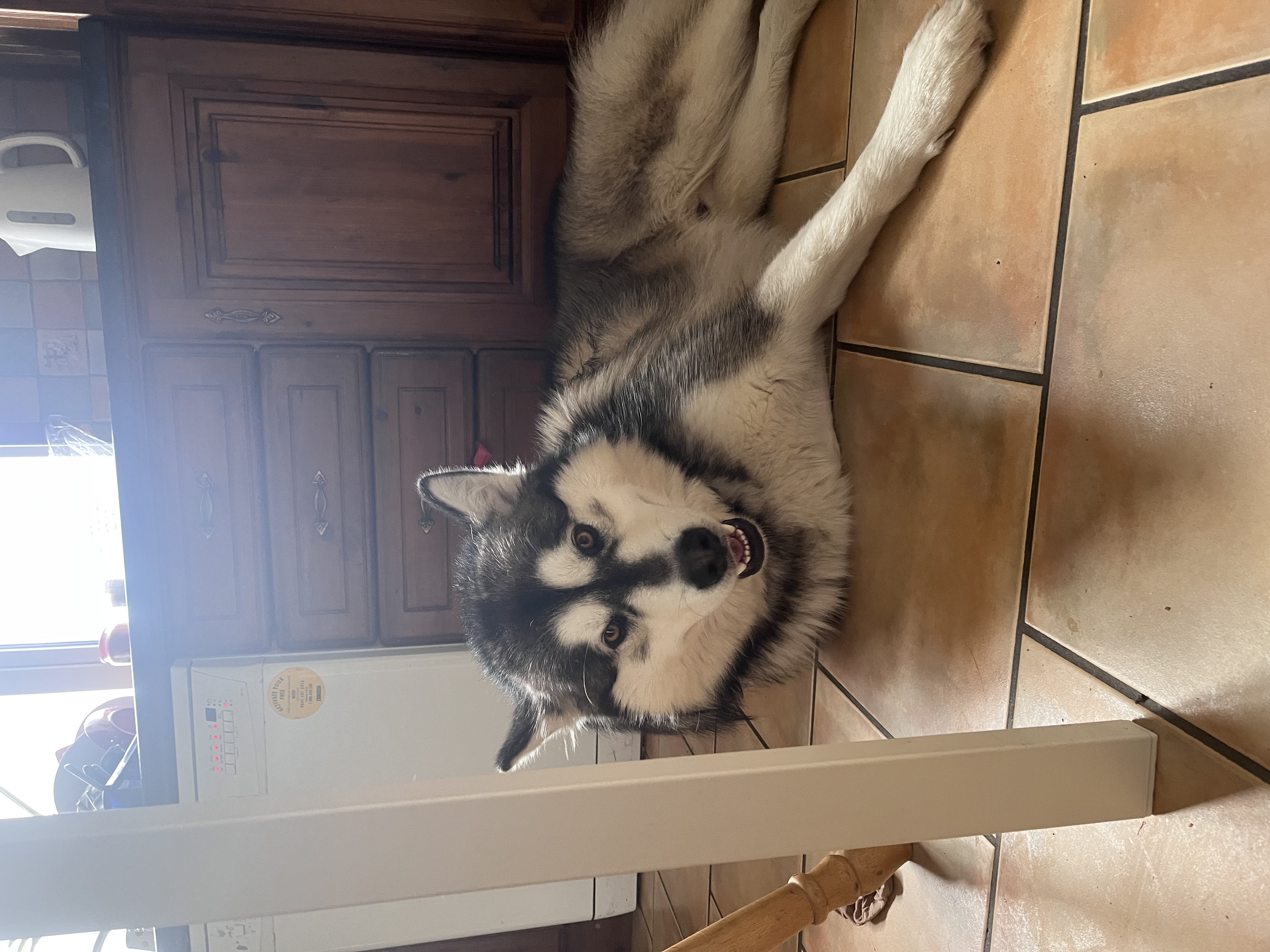 image-9