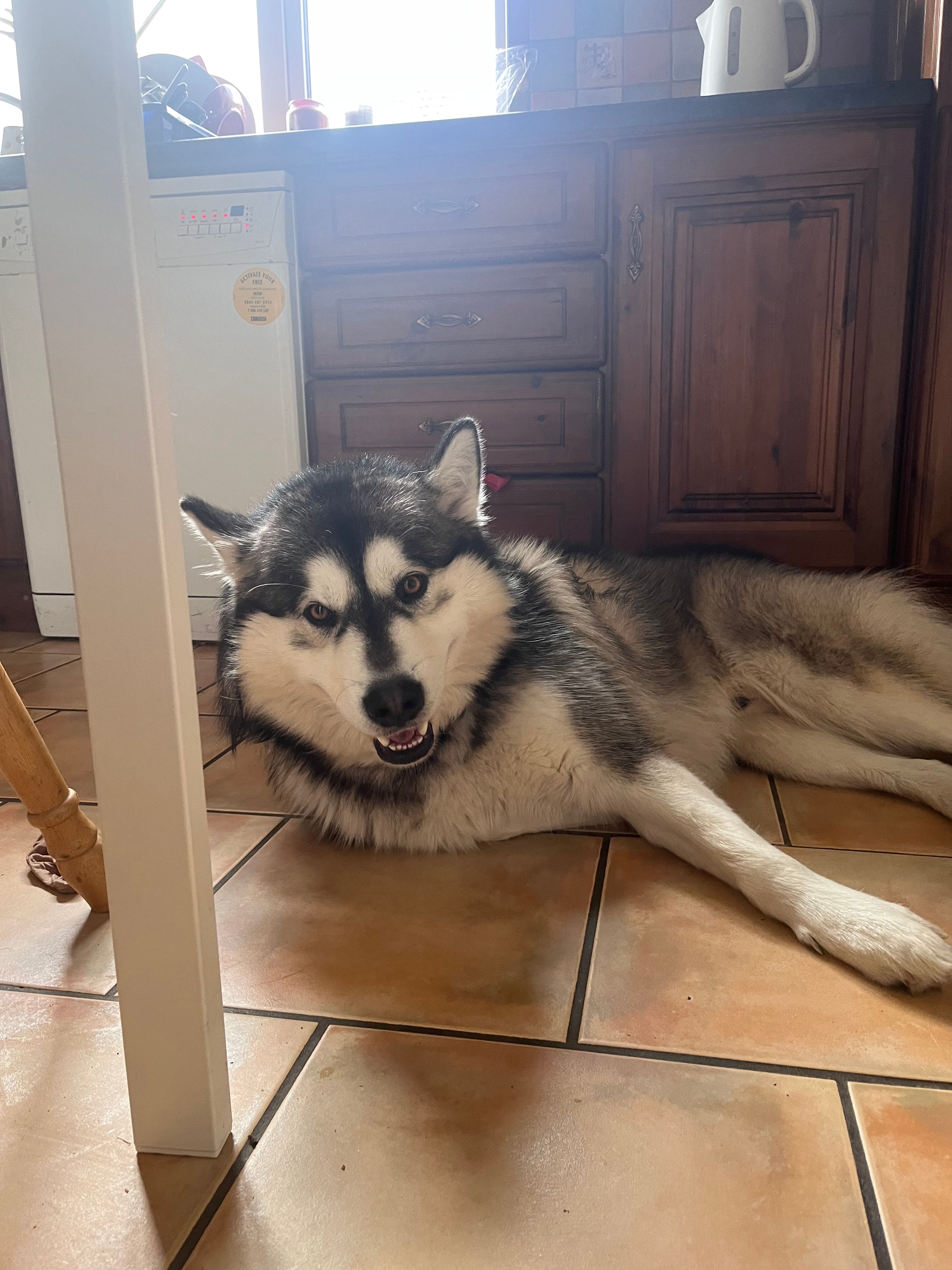 image-9