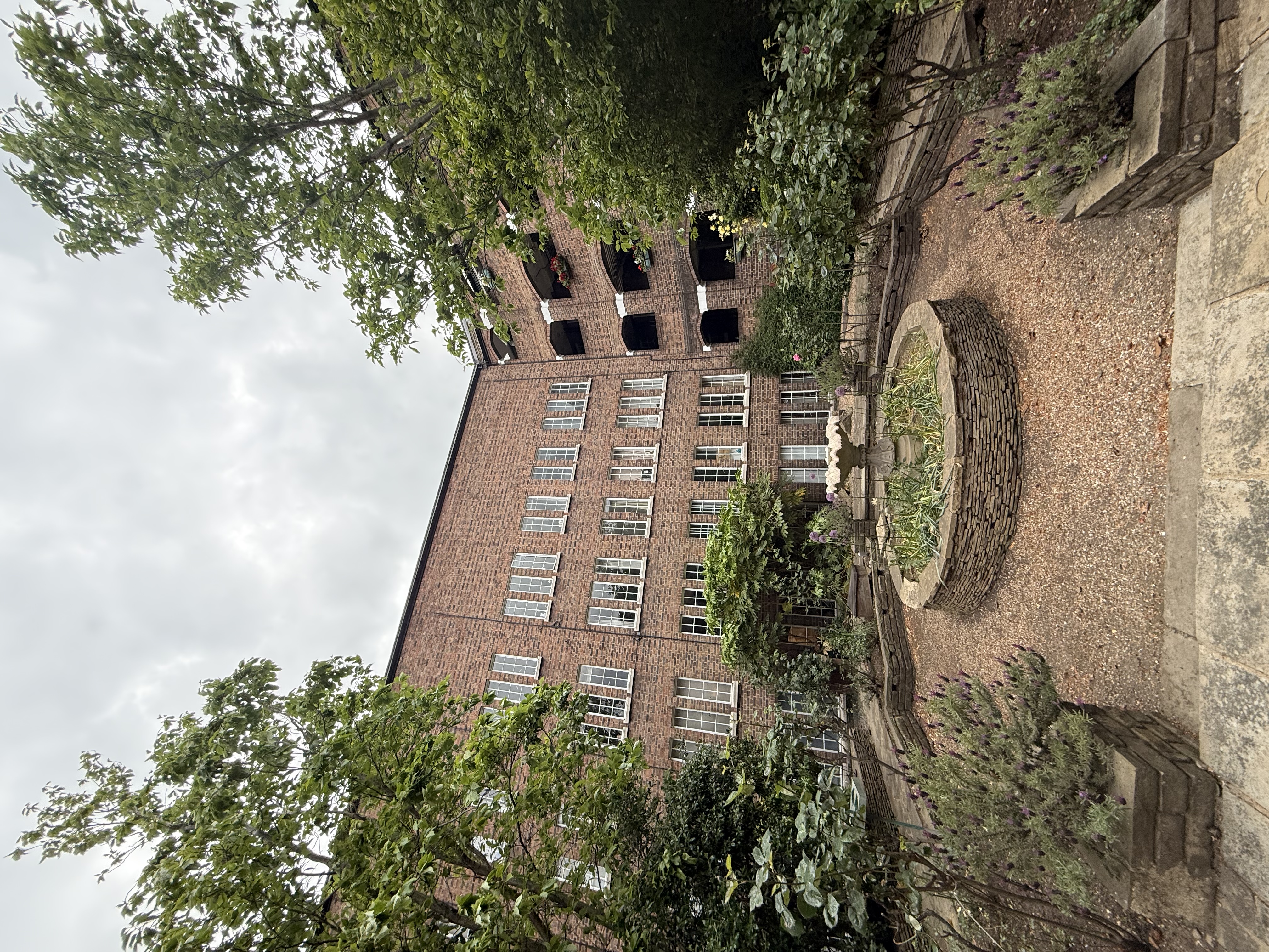 image-14