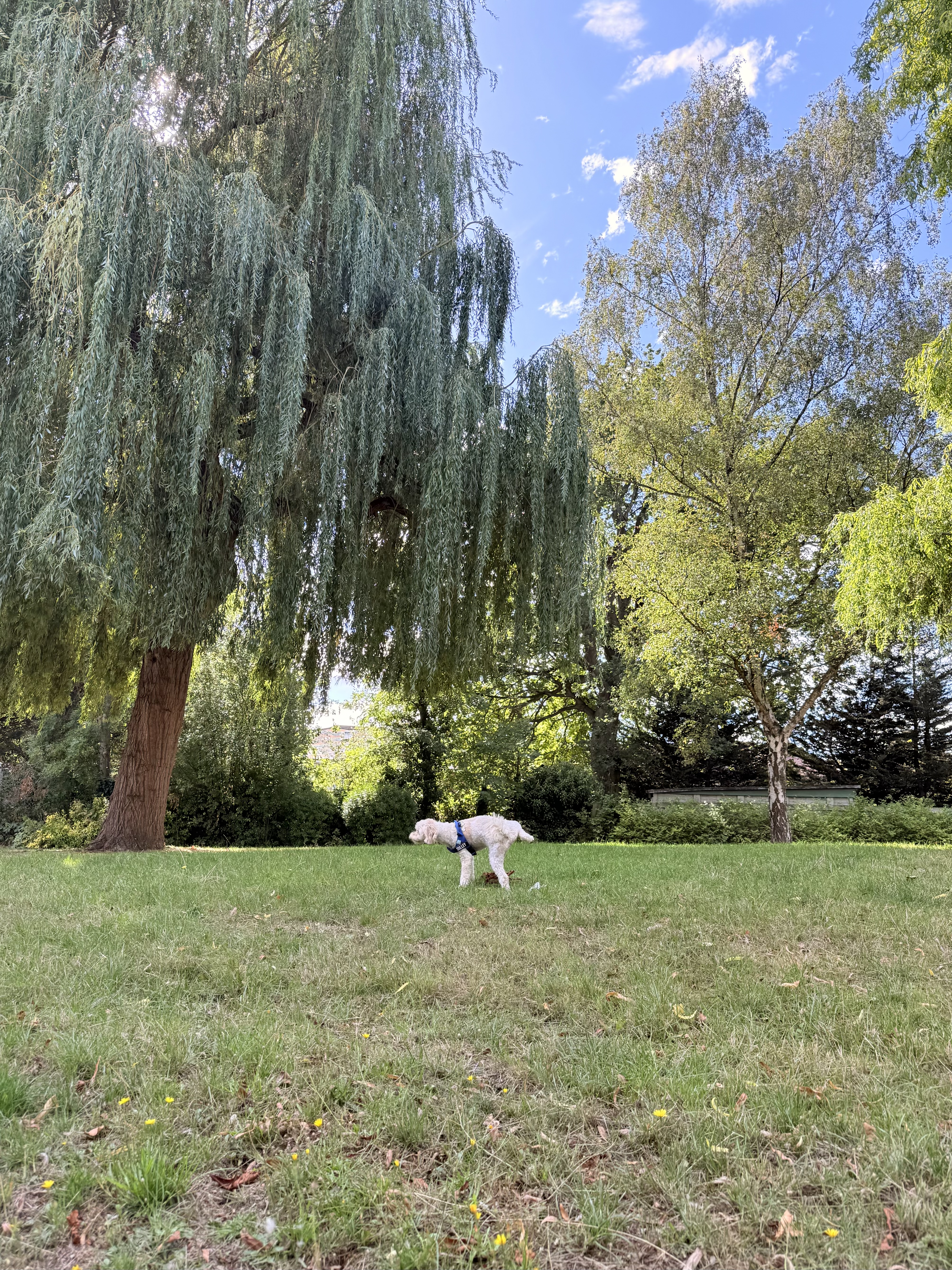 image-22