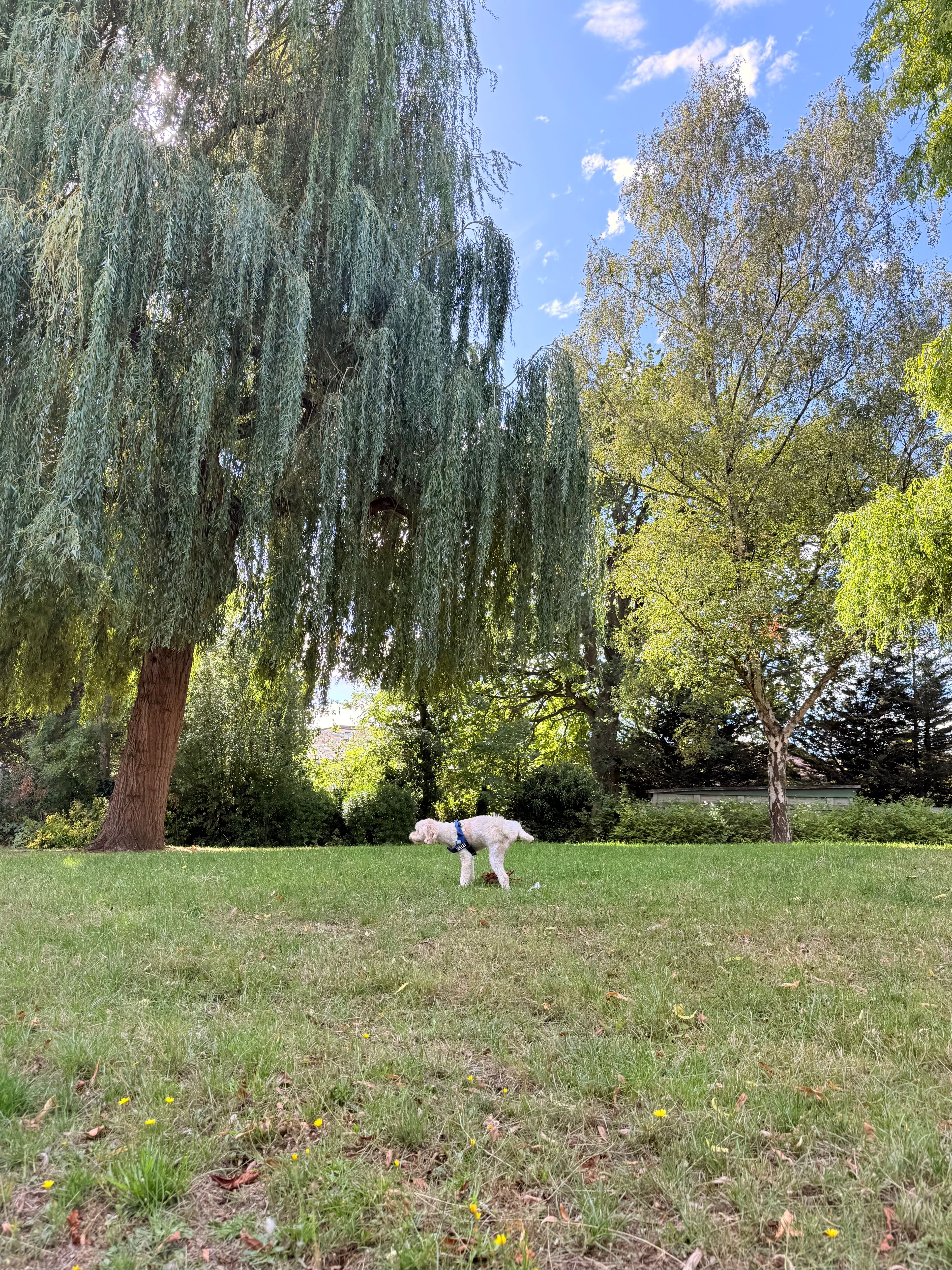 image-22