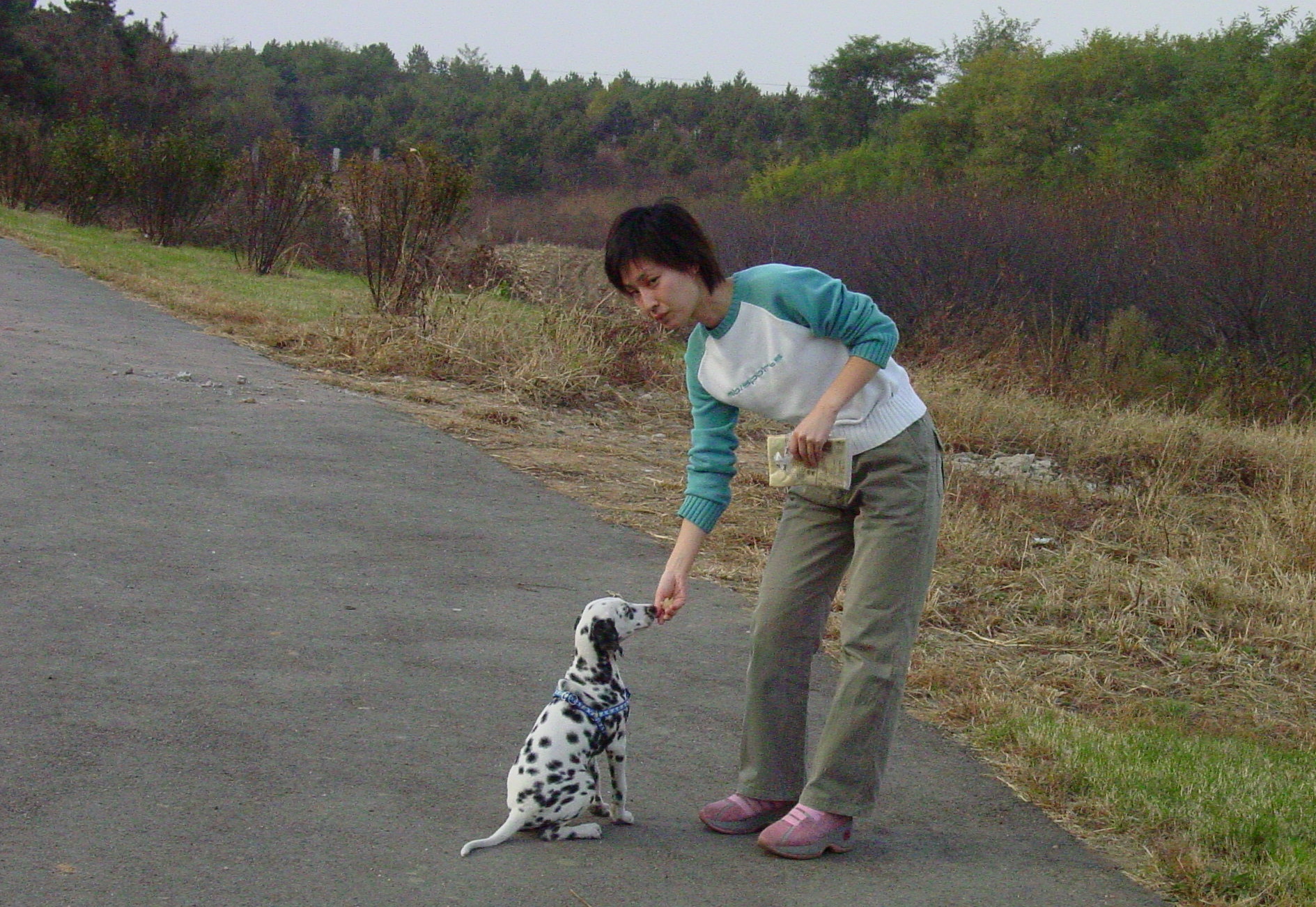 image-4