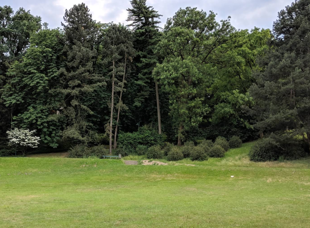 image-9