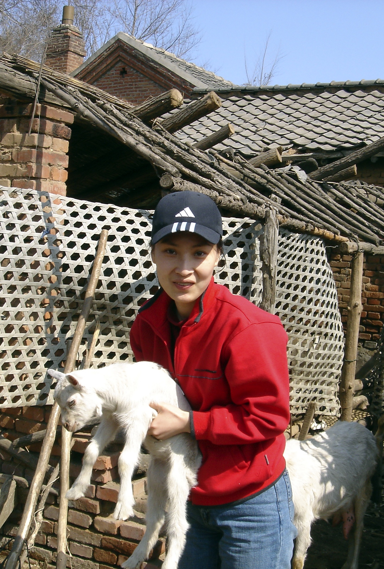 image-5