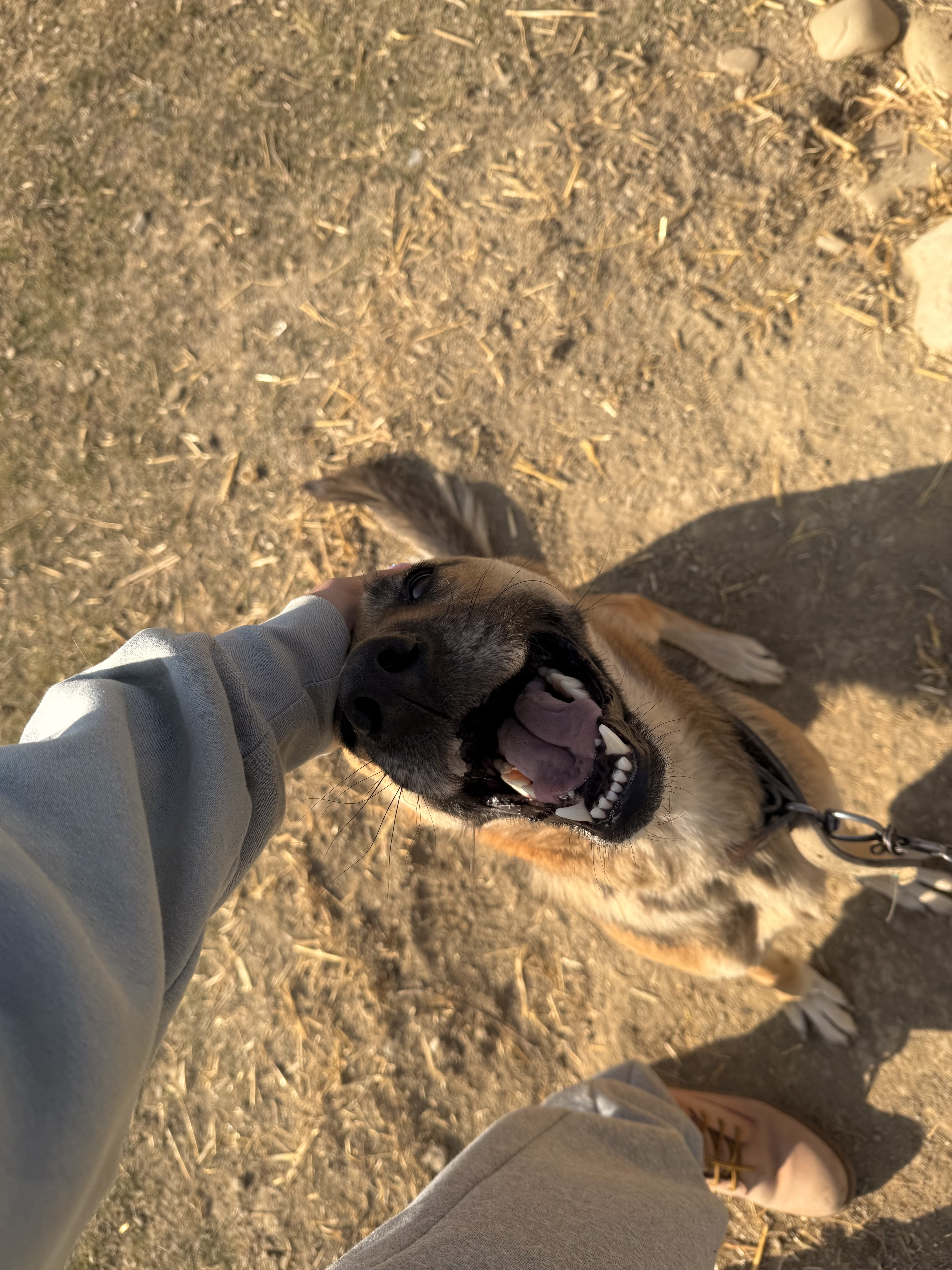 image-9