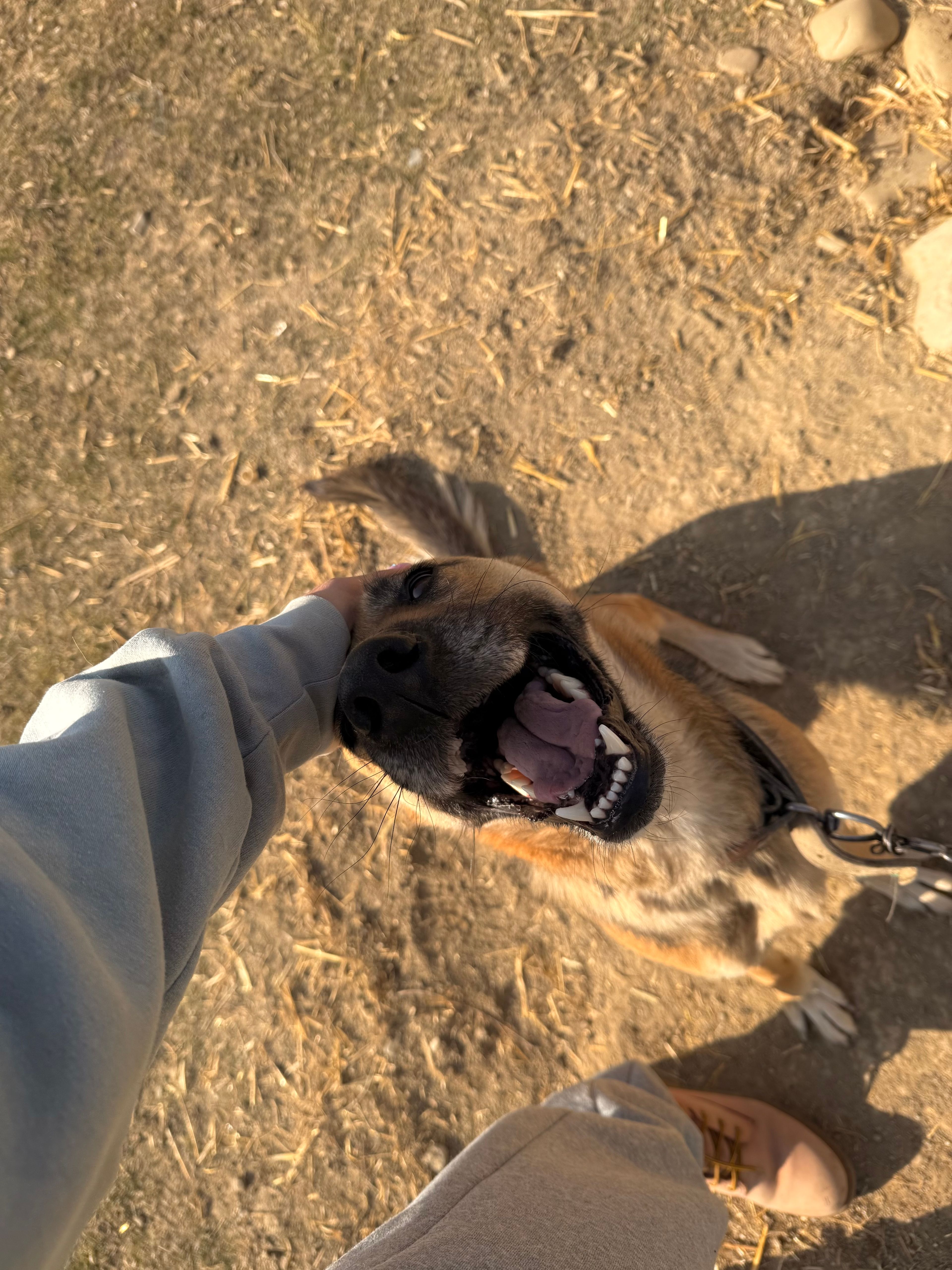 image-9