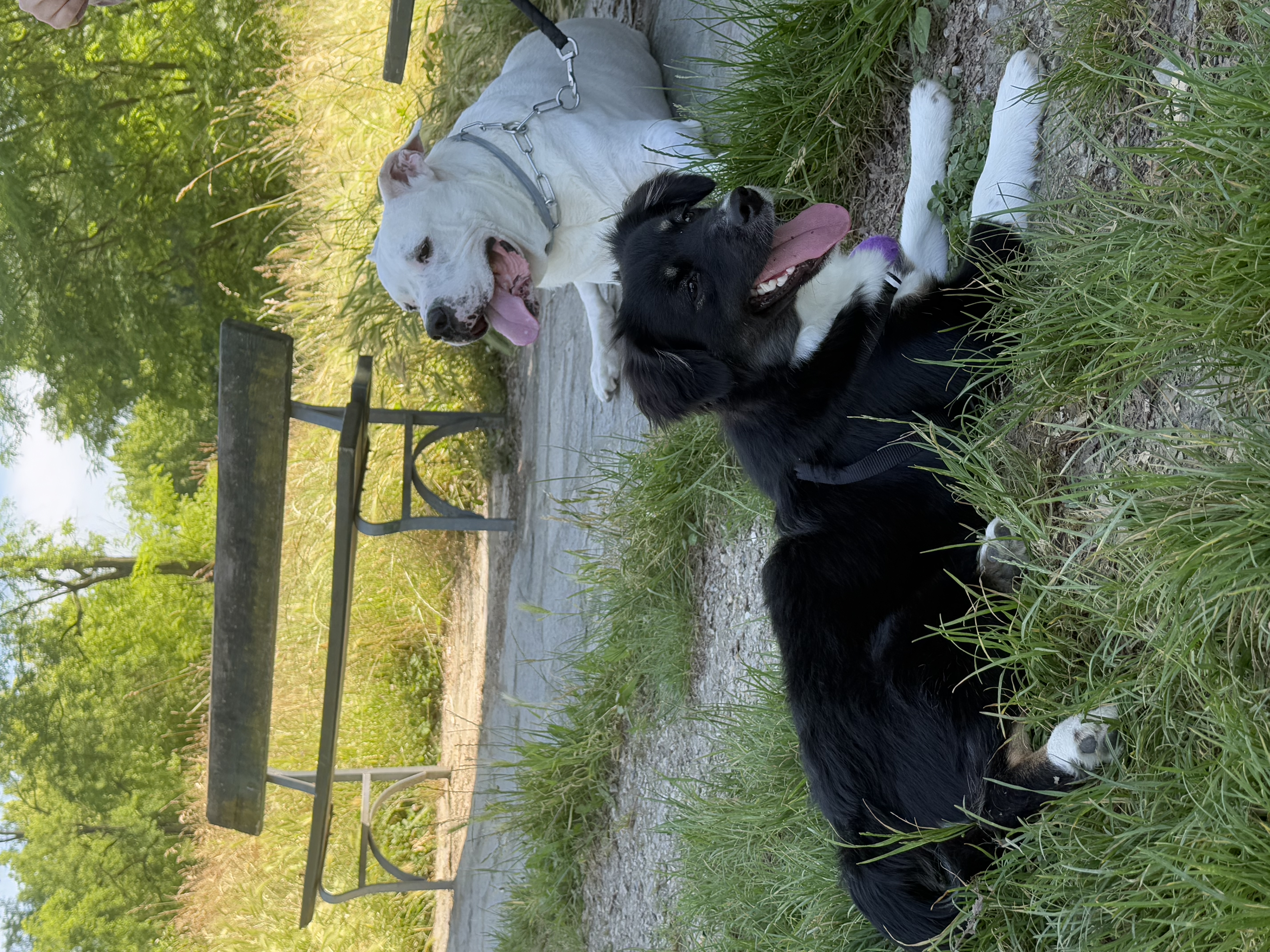 image-7