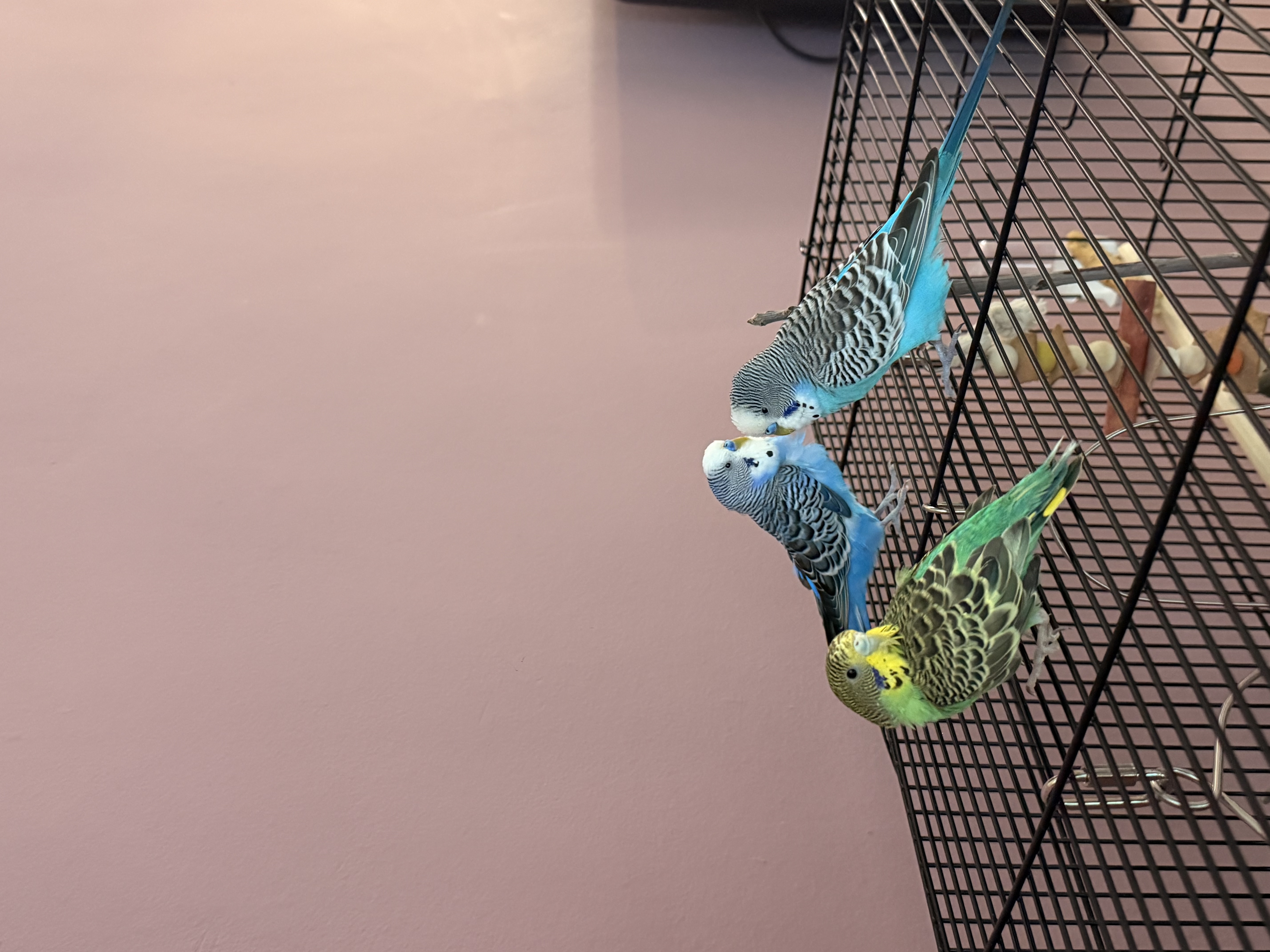 image-6