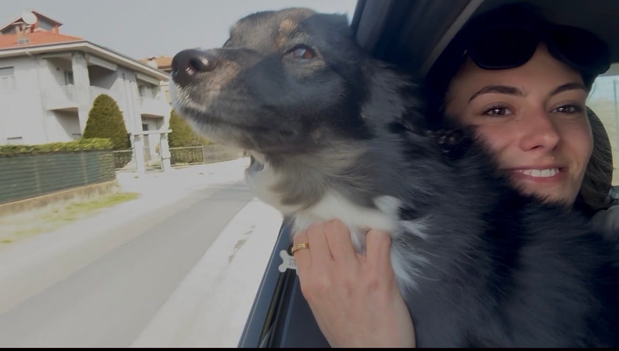 image-22