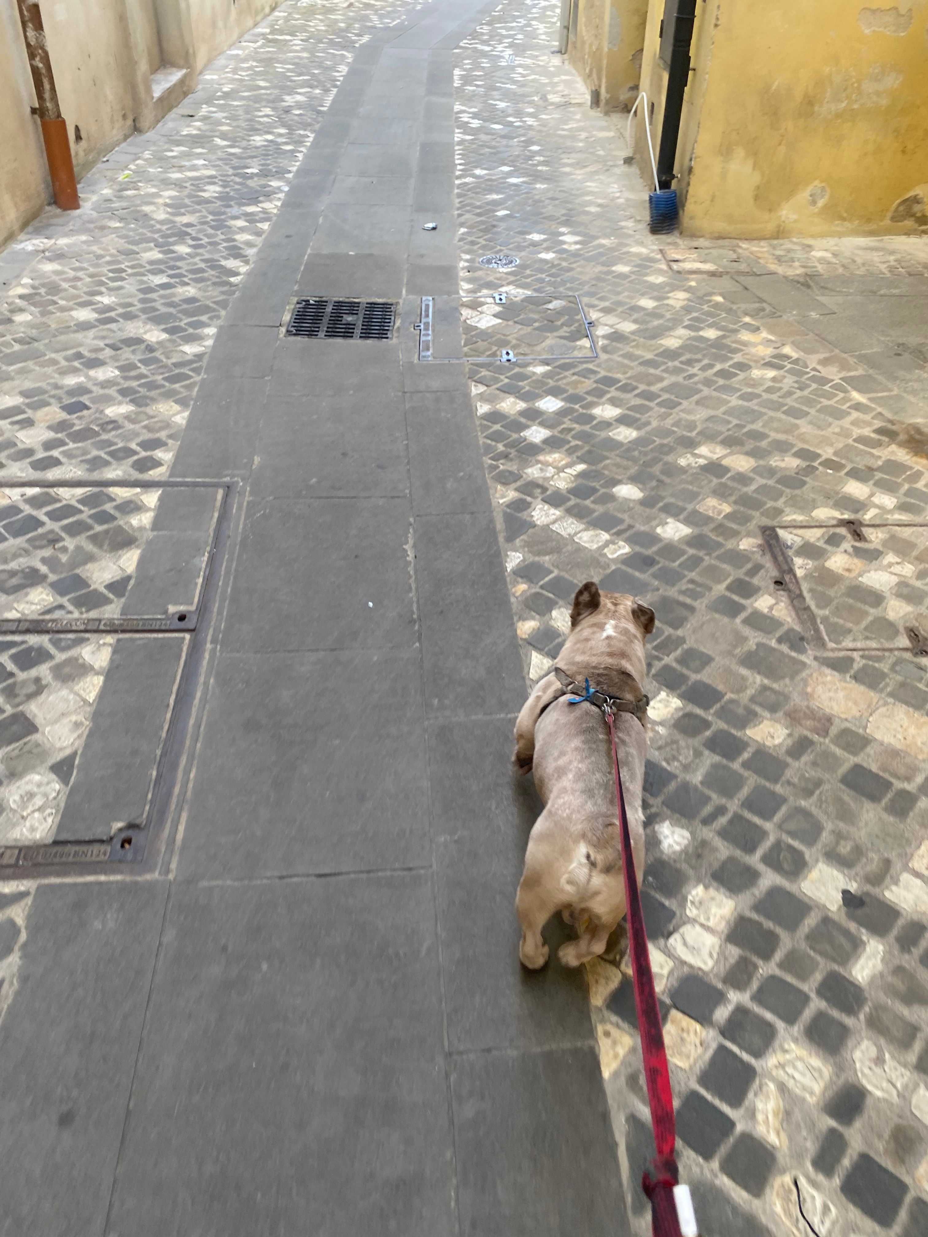 image-16