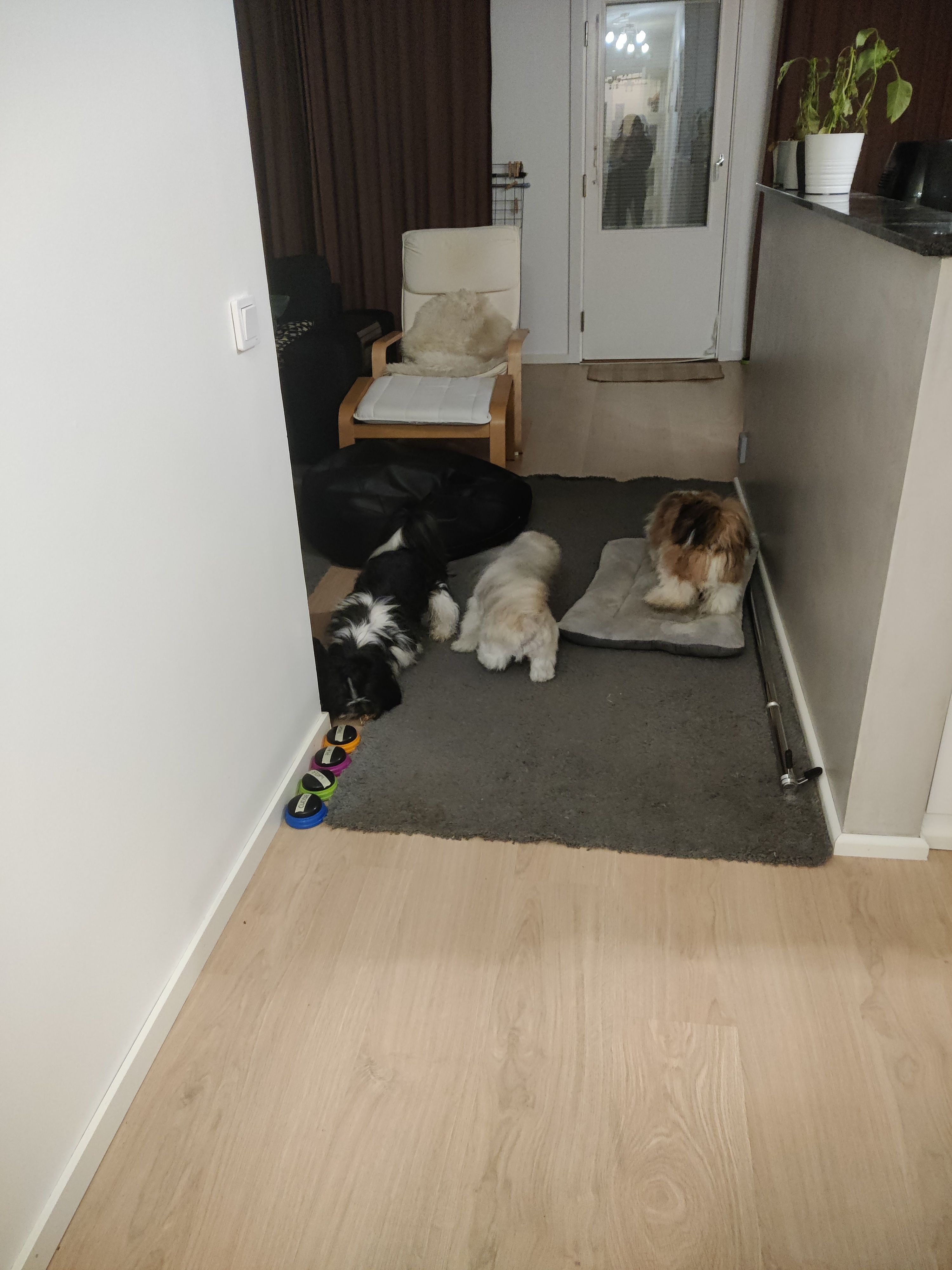 image-18