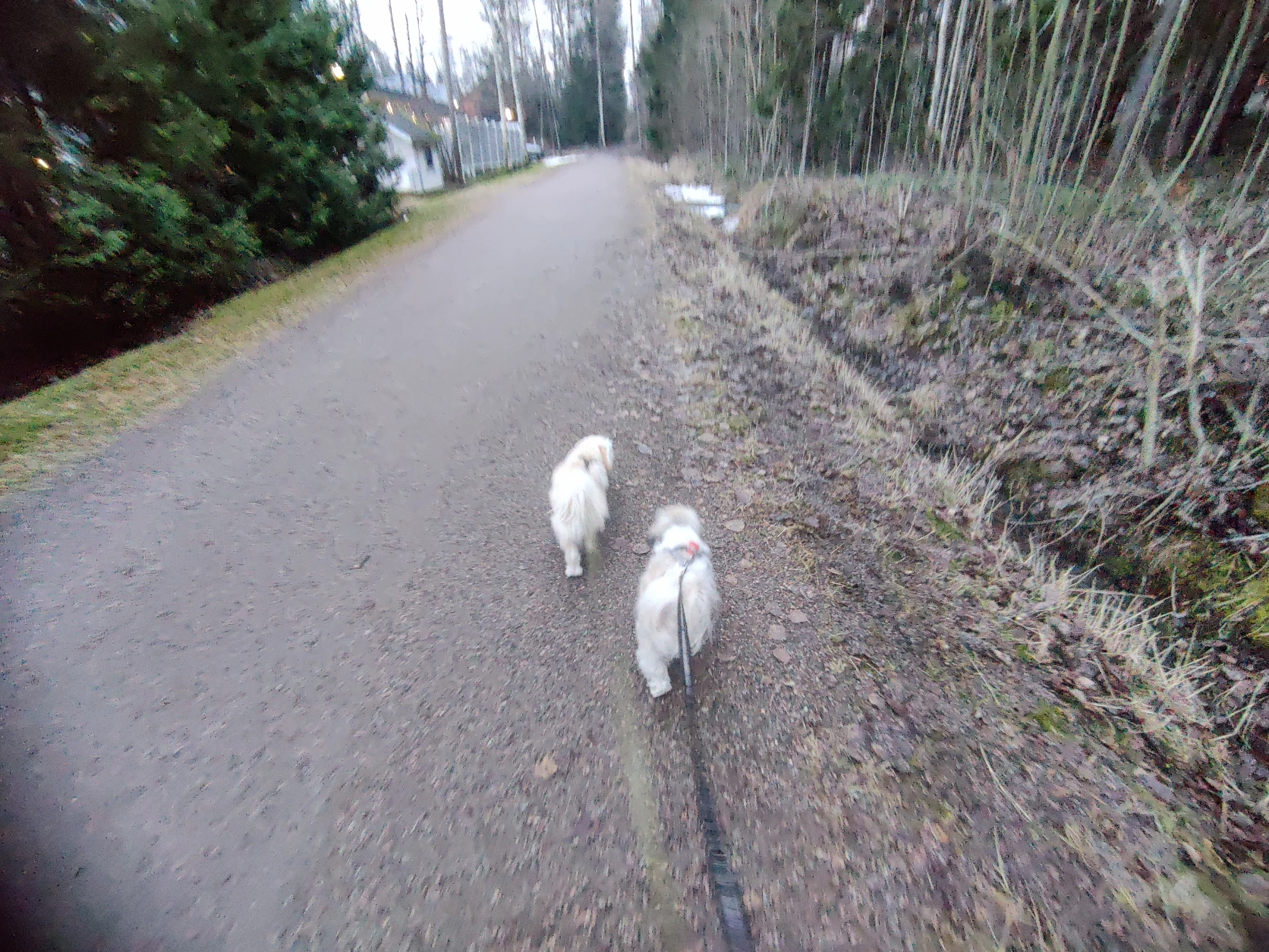 image-32