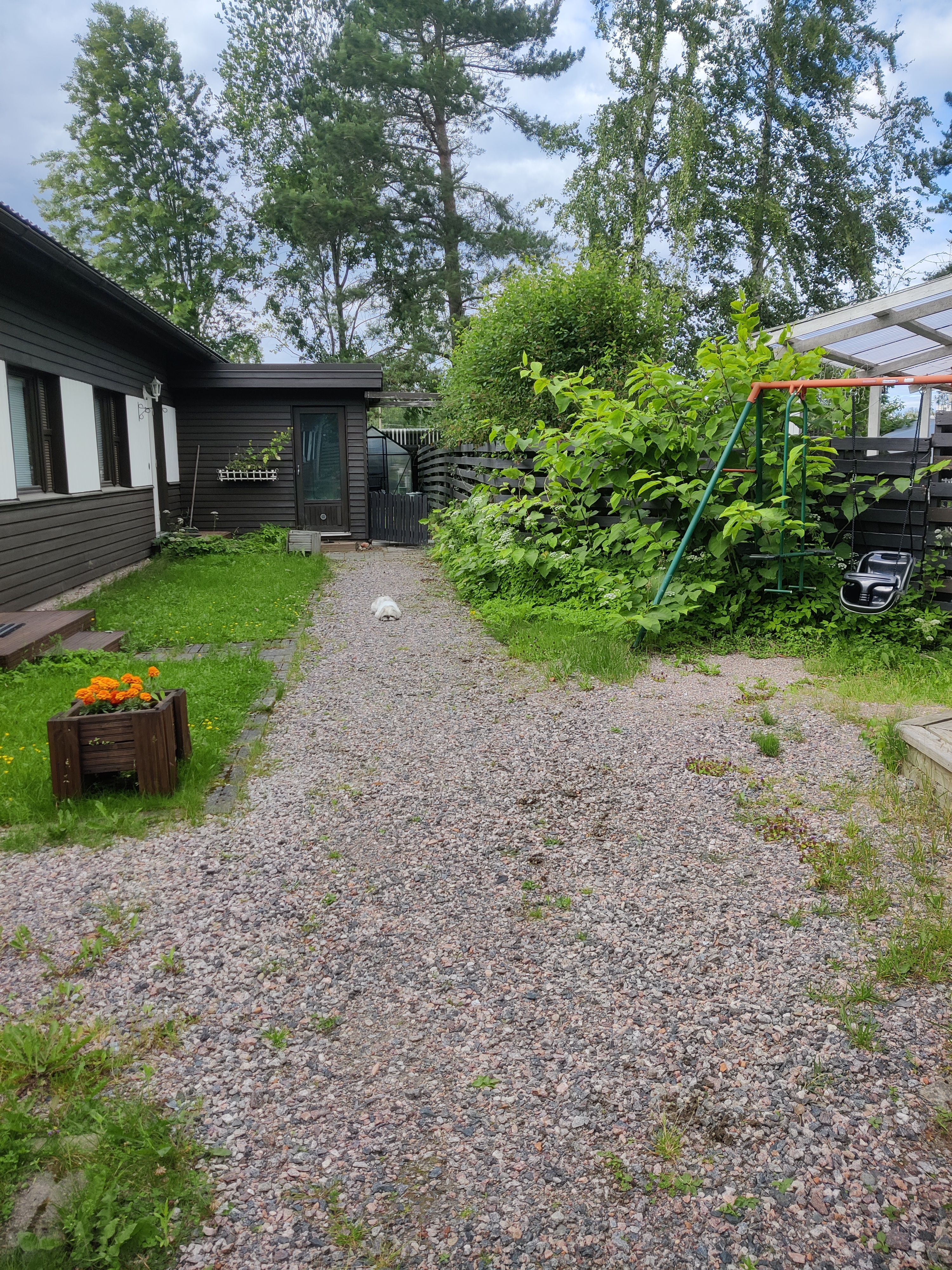 image-27
