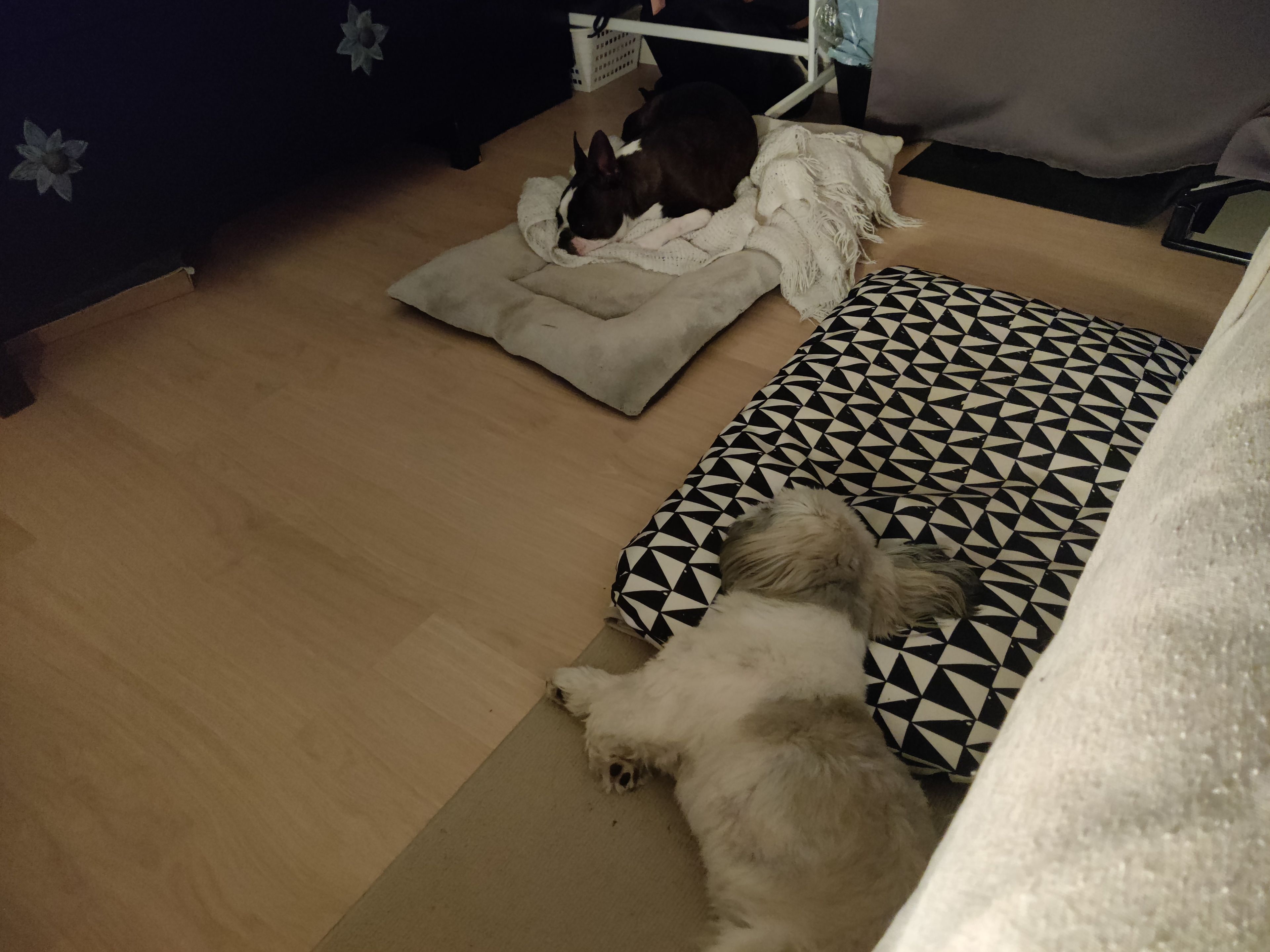 image-13