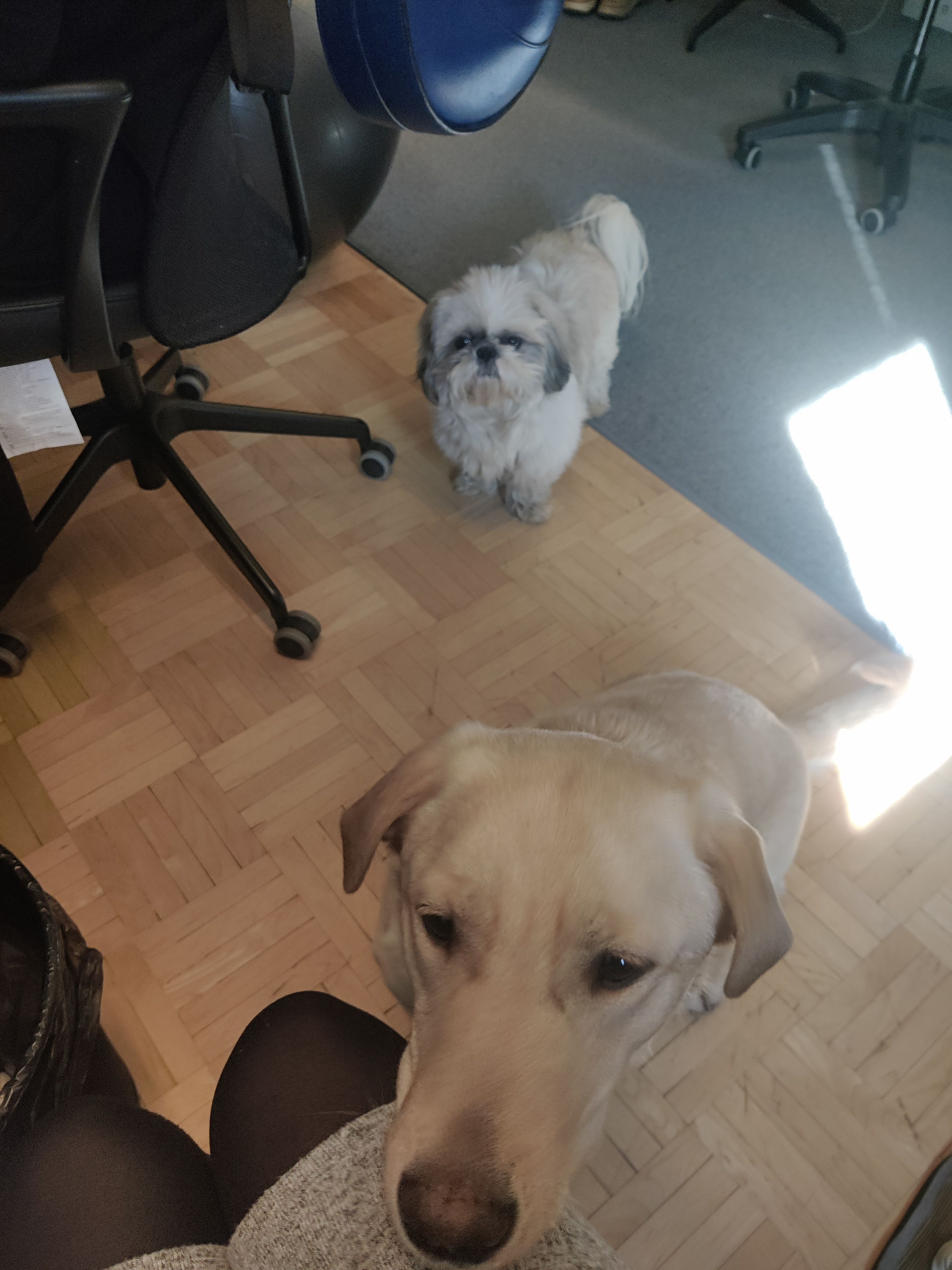 image-6